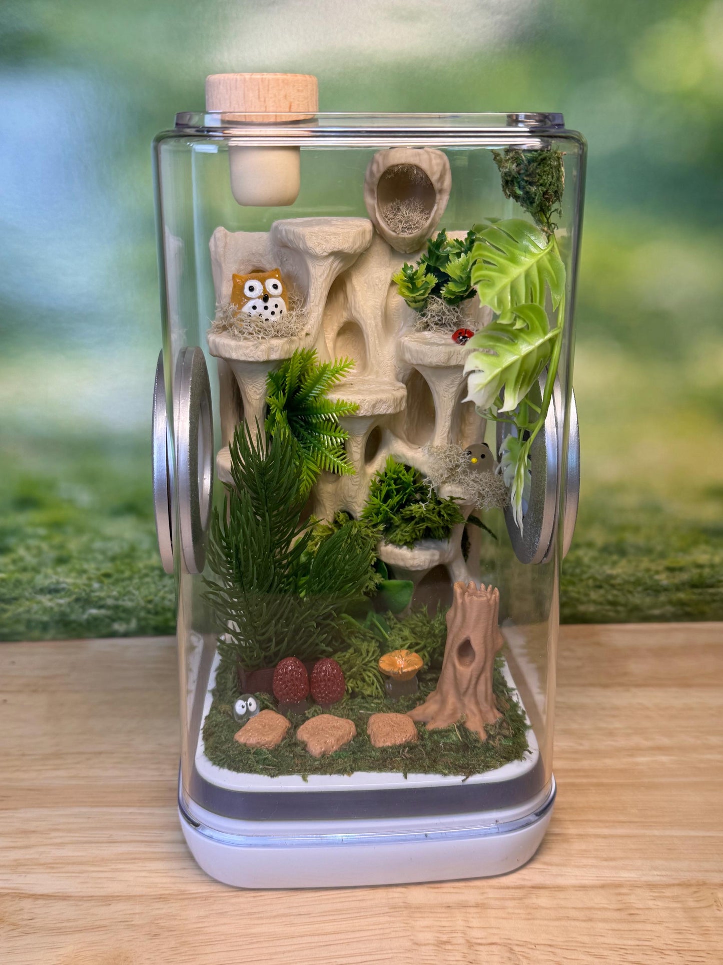 Decorated Jumping Spider Enclosure, 5x5x9, , READY TO SHIP, extra large spider house