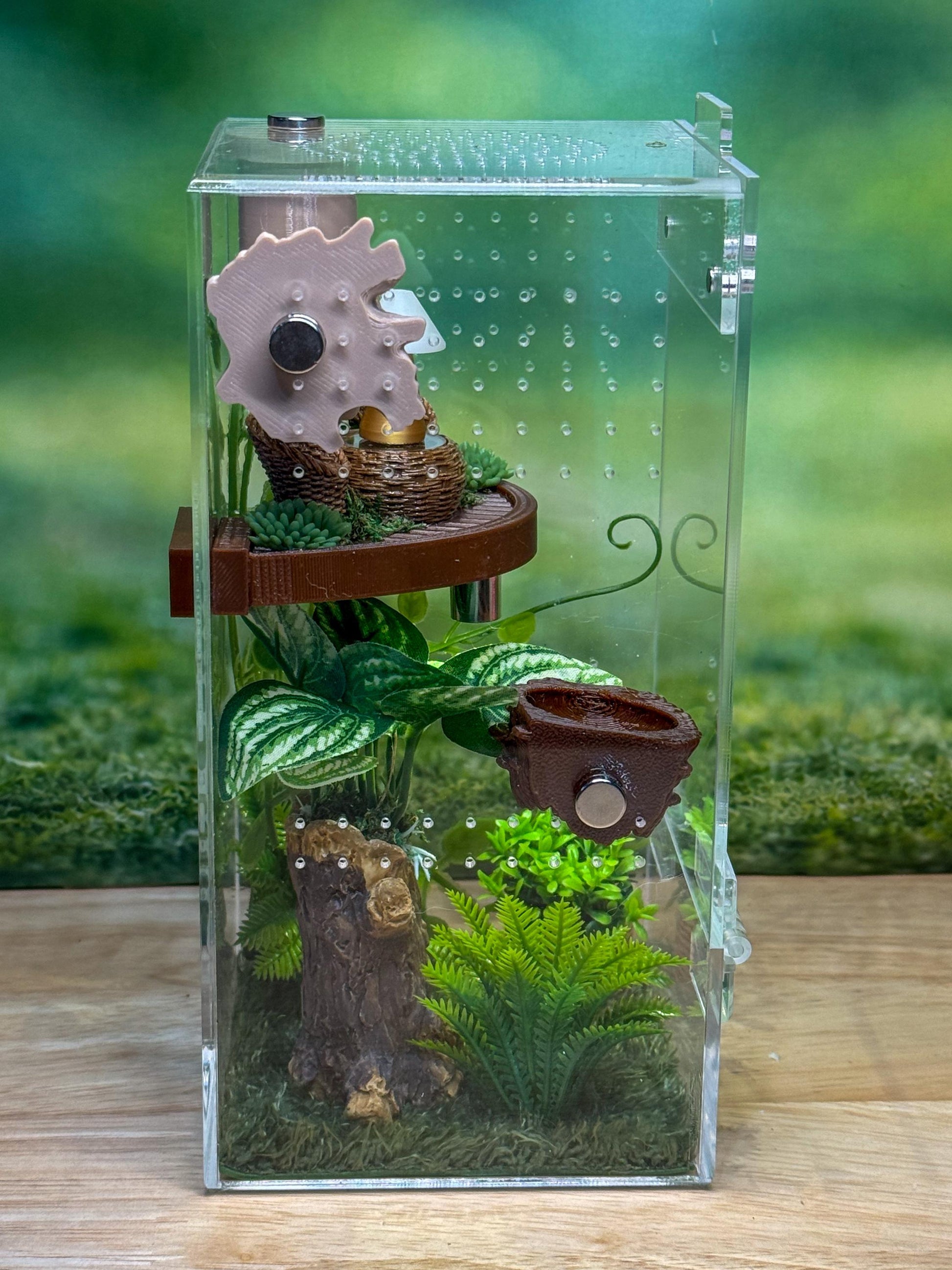 Front Opening Jumping Spider Enclosure 4x4x8, Acrylic Habitat Tank