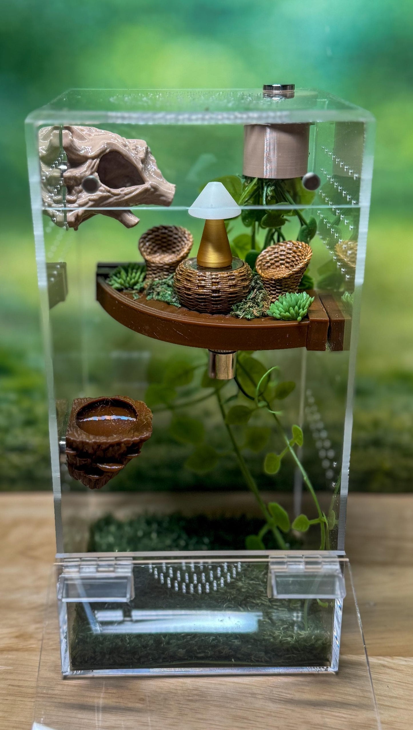 Front Opening Jumping Spider Enclosure 4x4x8, Acrylic Habitat Tank
