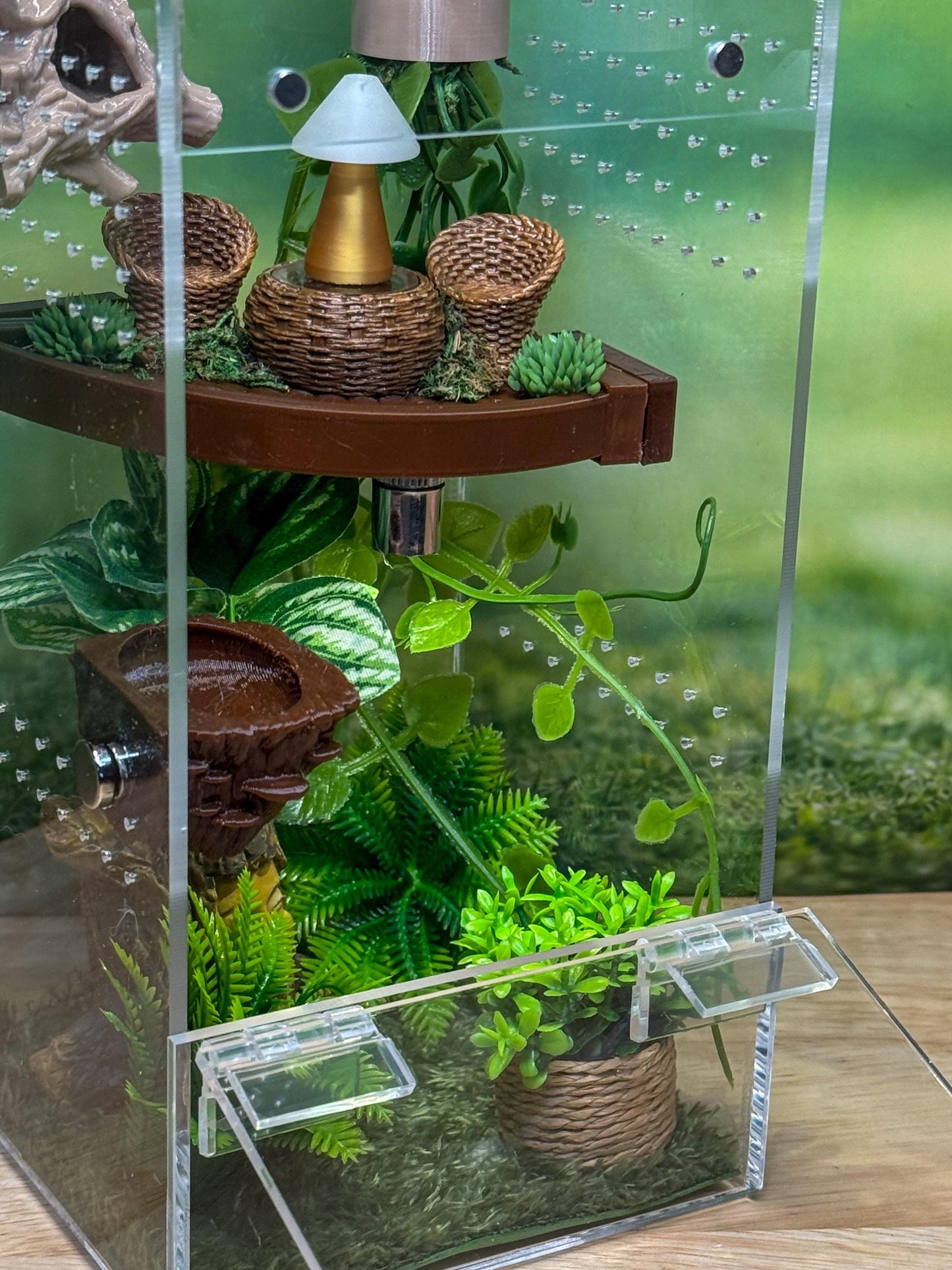 Front Opening Jumping Spider Enclosure 4x4x8, Acrylic Habitat Tank