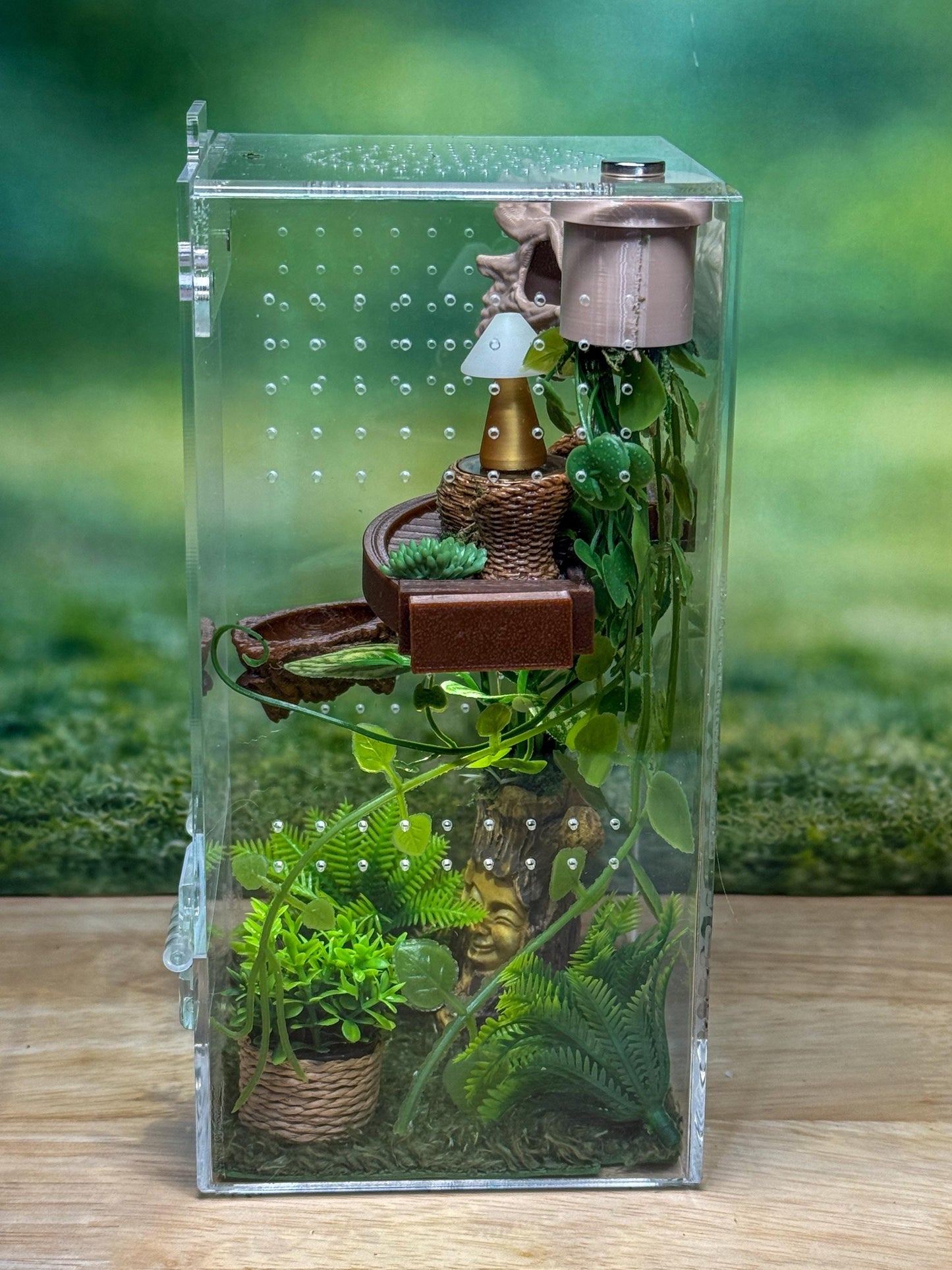Front Opening Jumping Spider Enclosure 4x4x8, Acrylic Habitat Tank