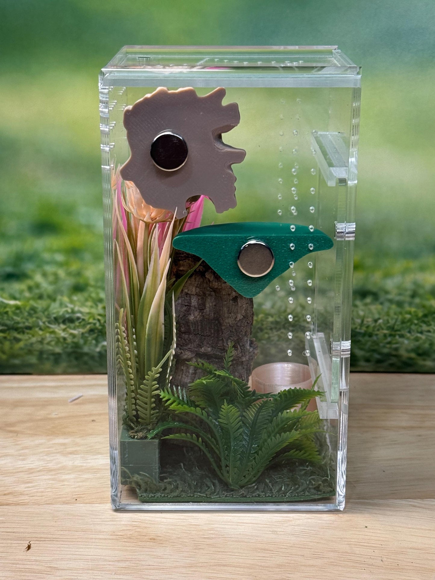 Acrylic Jumping Spider Enclosure, Front Opening Habitat (3x3x6)