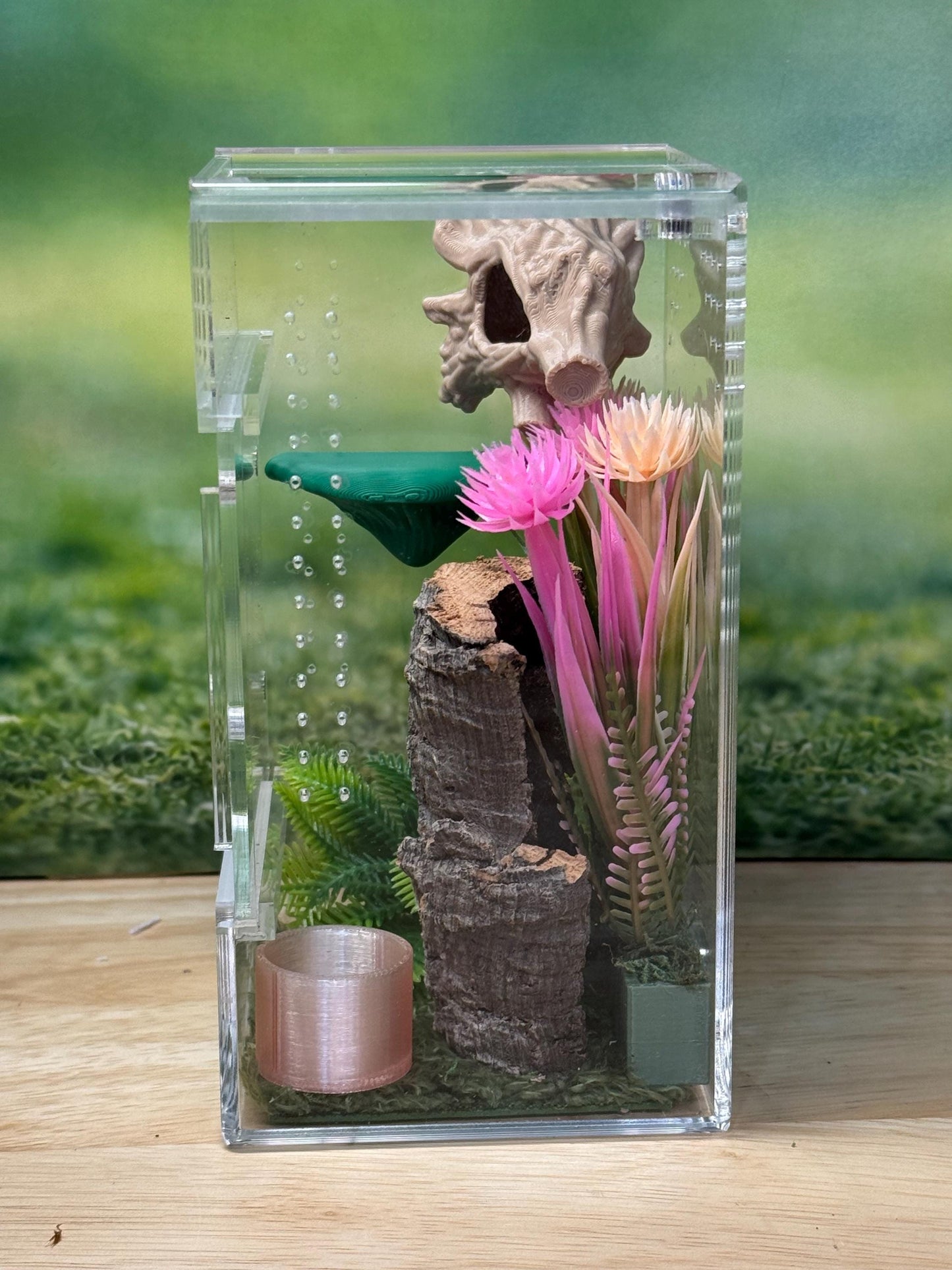 Acrylic Jumping Spider Enclosure, Front Opening Habitat (3x3x6)