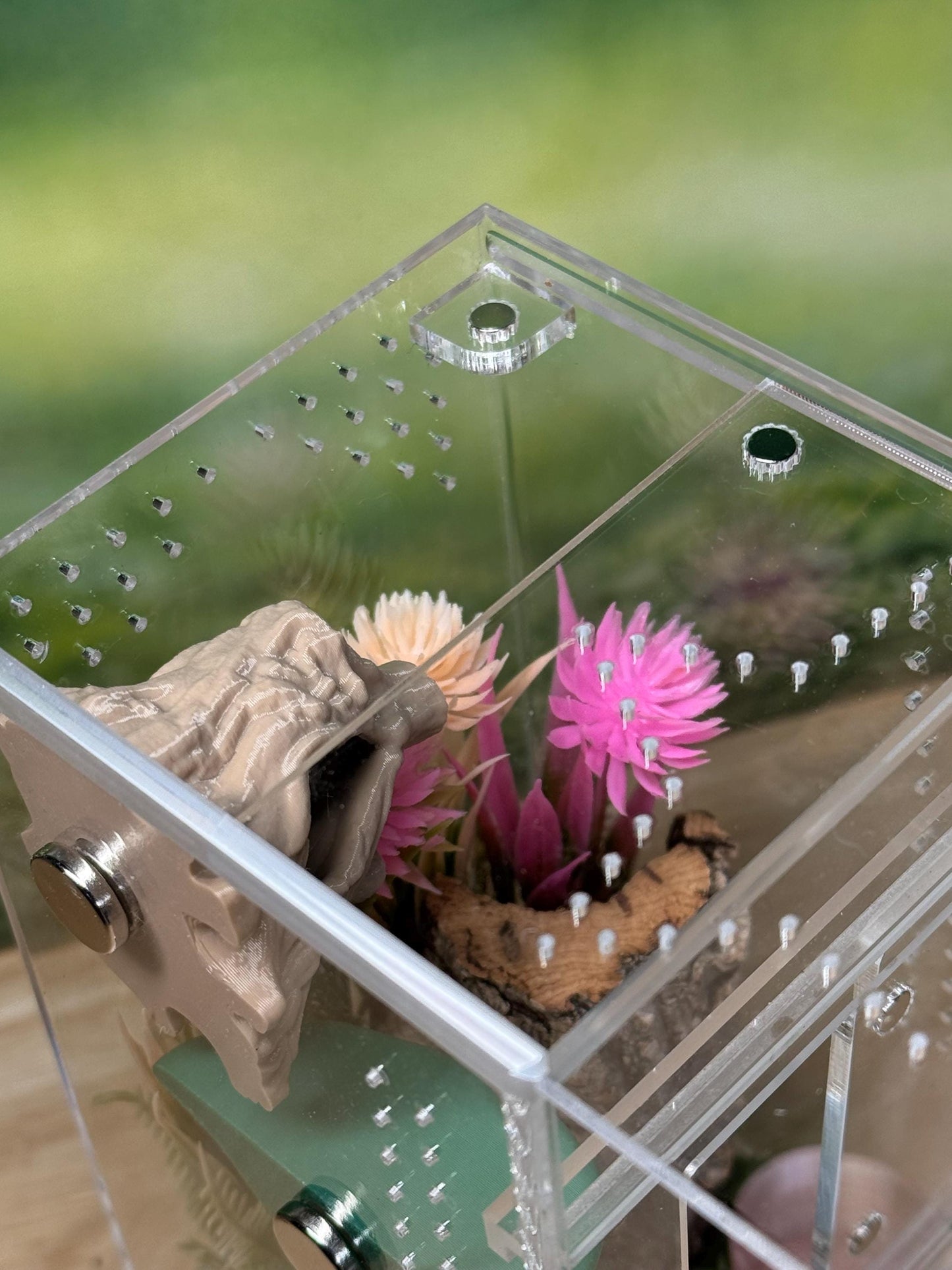 Acrylic Jumping Spider Enclosure, Front Opening Habitat (3x3x6)