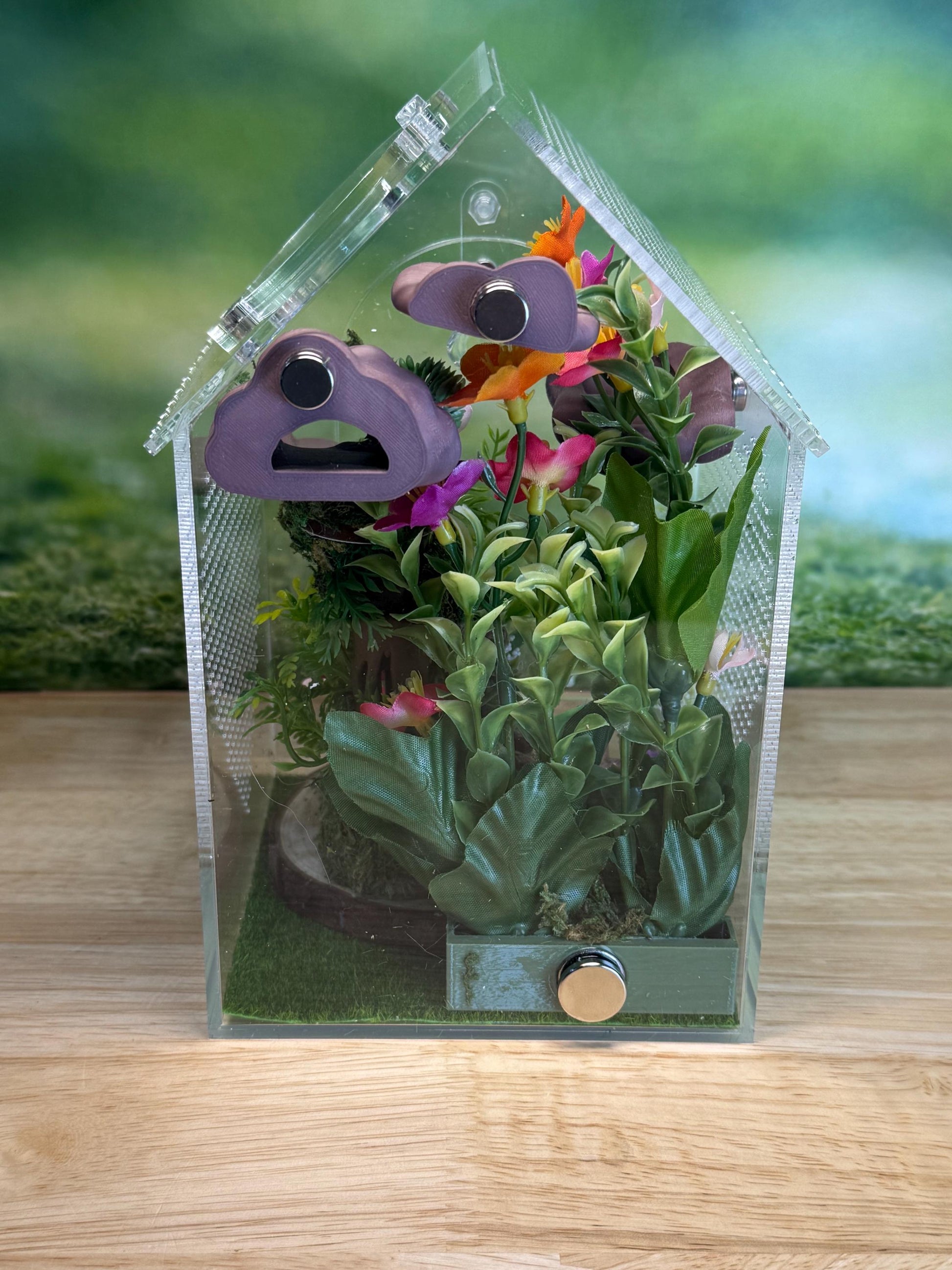 Decorated Acrylic Jumping Spider Enclosure, Front Opening Habitat (8x5x5)