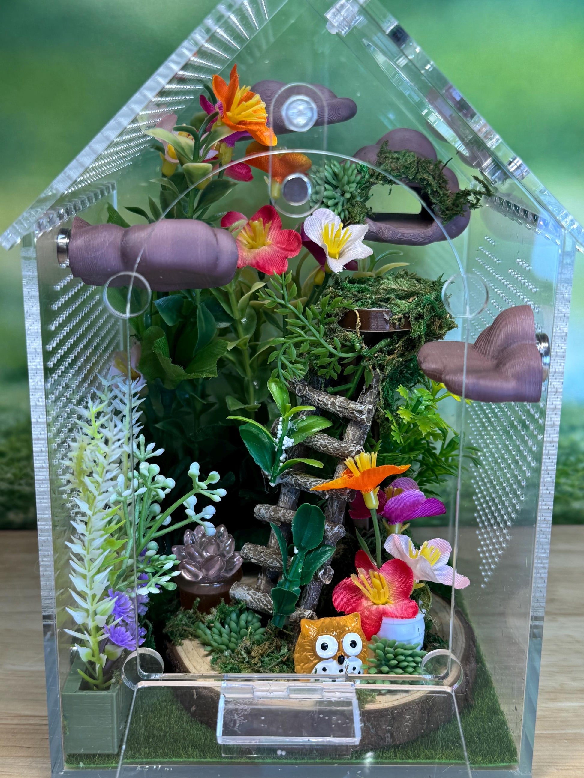 Decorated Acrylic Jumping Spider Enclosure, Front Opening Habitat (8x5x5)