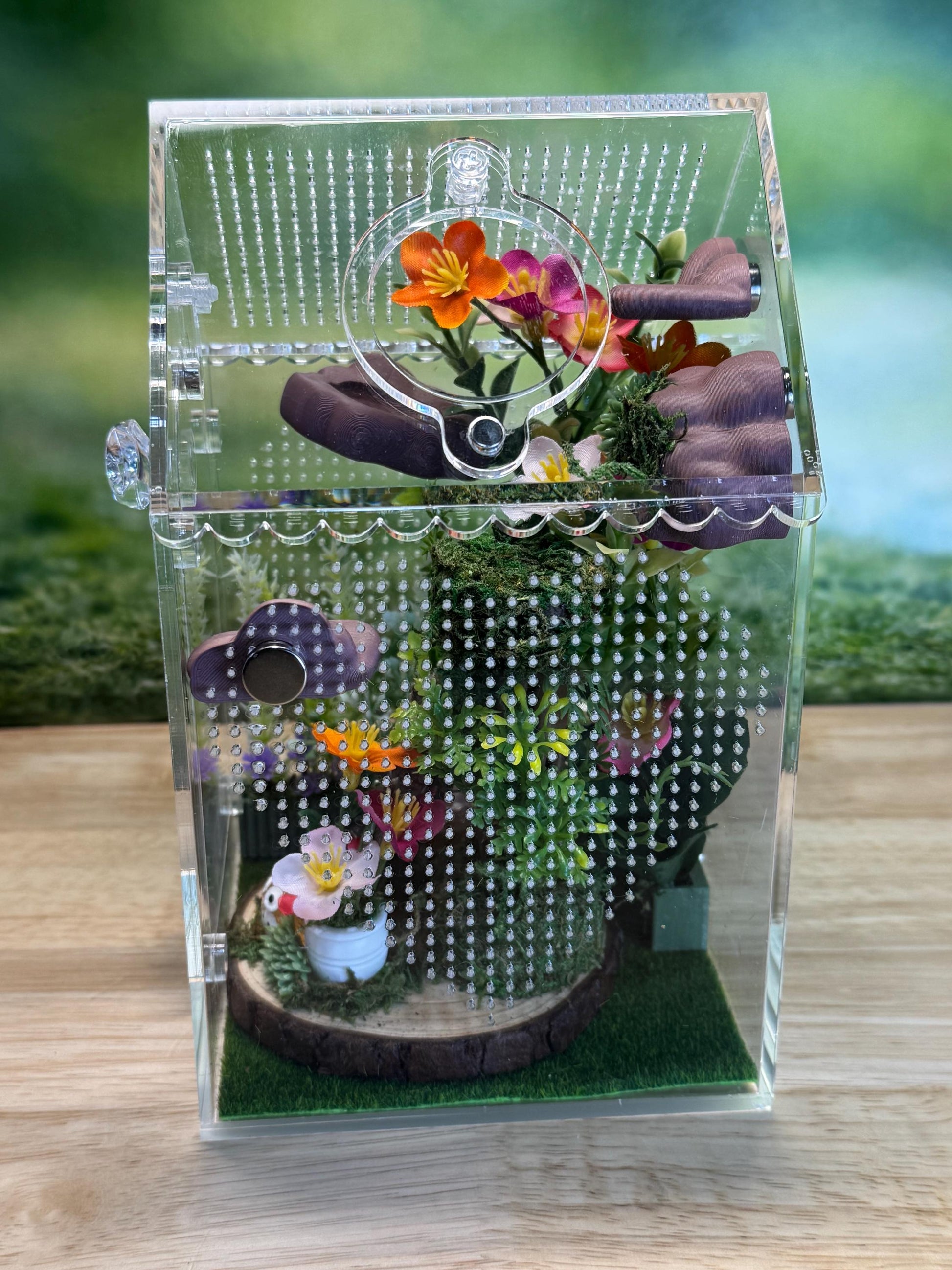Decorated Acrylic Jumping Spider Enclosure, Front Opening Habitat (8x5x5)