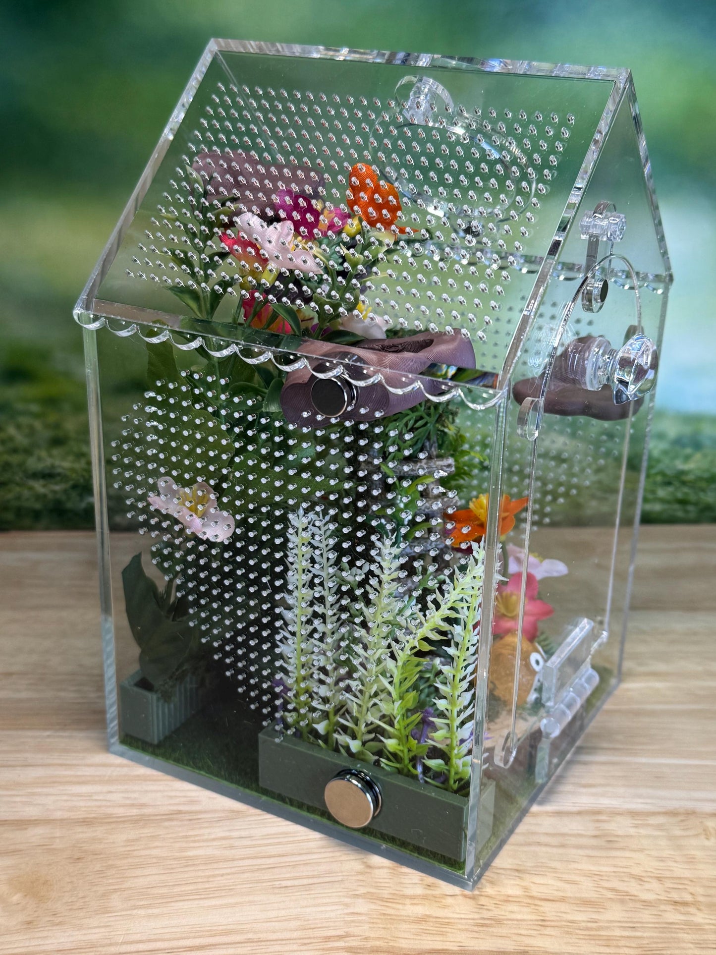 Decorated Acrylic Jumping Spider Enclosure, Front Opening Habitat (8x5x5)