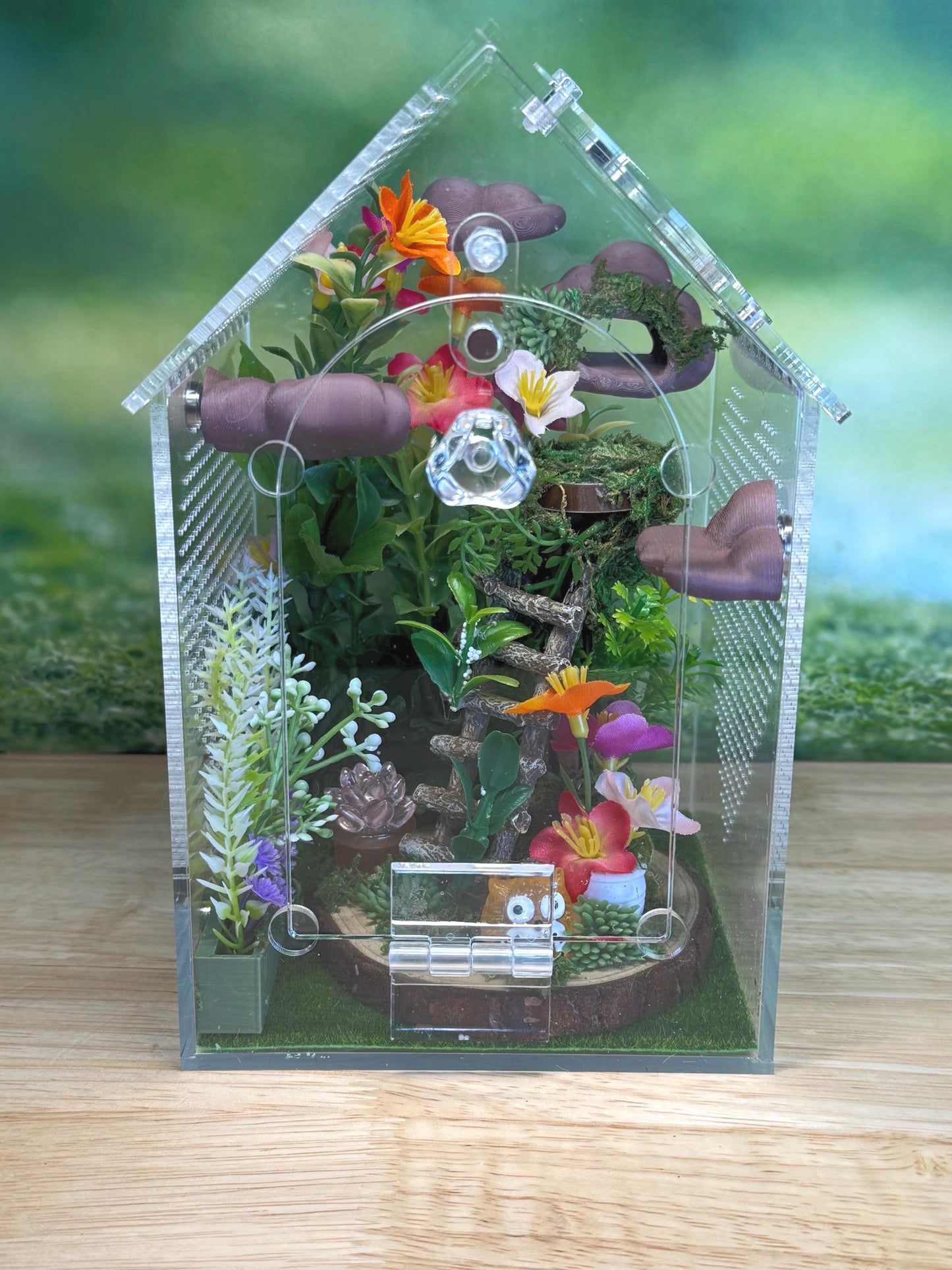 Decorated Acrylic Jumping Spider Enclosure, Front Opening Habitat (8x5x5)