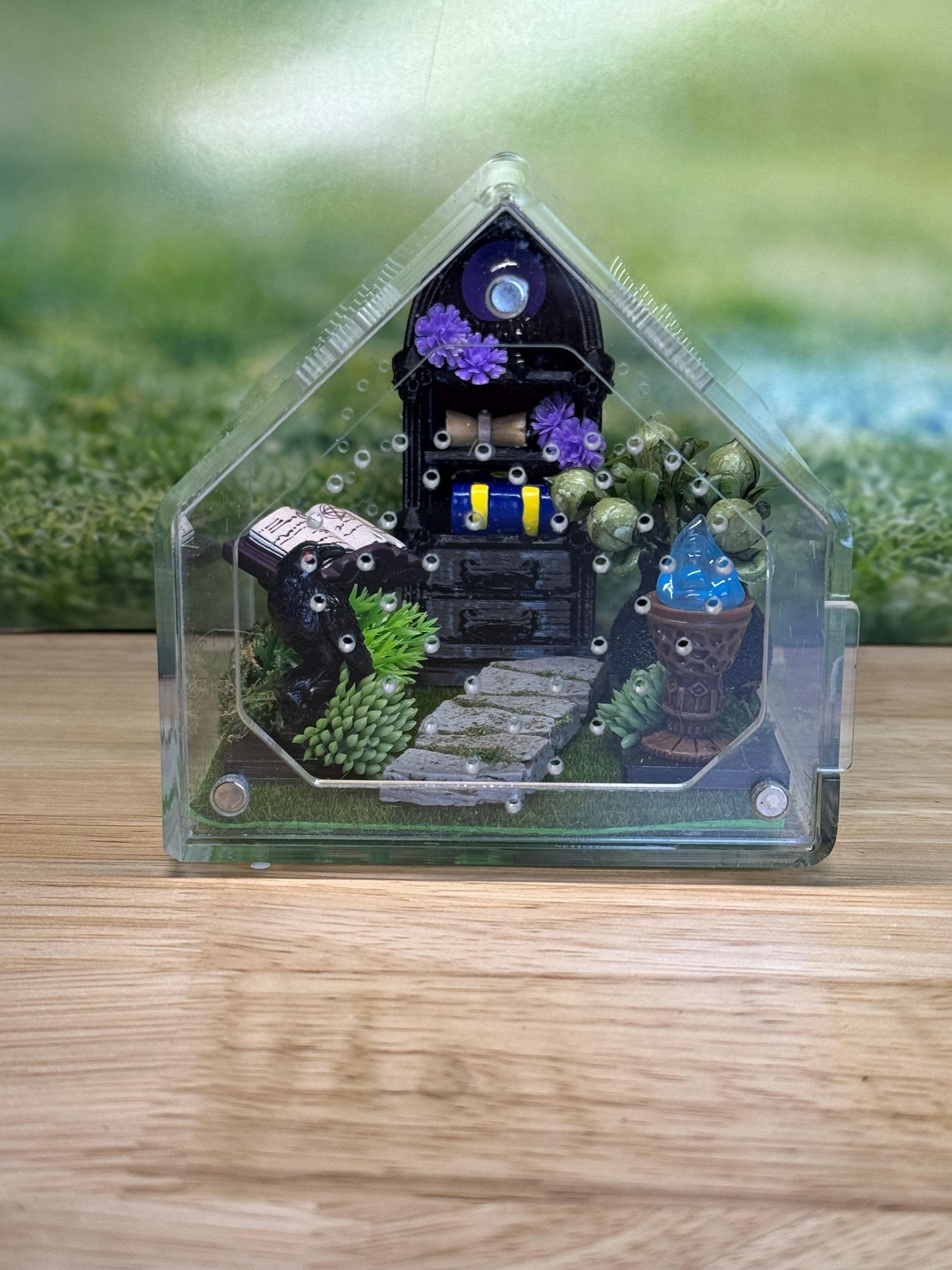 Decorated Acrylic Jumping Spider Enclosure, Front Opening Habitat 3.75x3.75x3.75