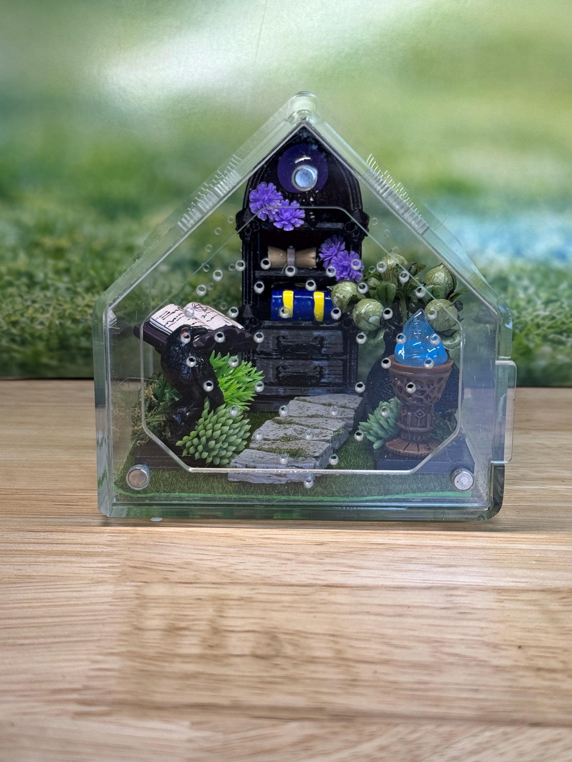 Decorated Acrylic Jumping Spider Enclosure, Front Opening Habitat 3.75x3.75x3.75