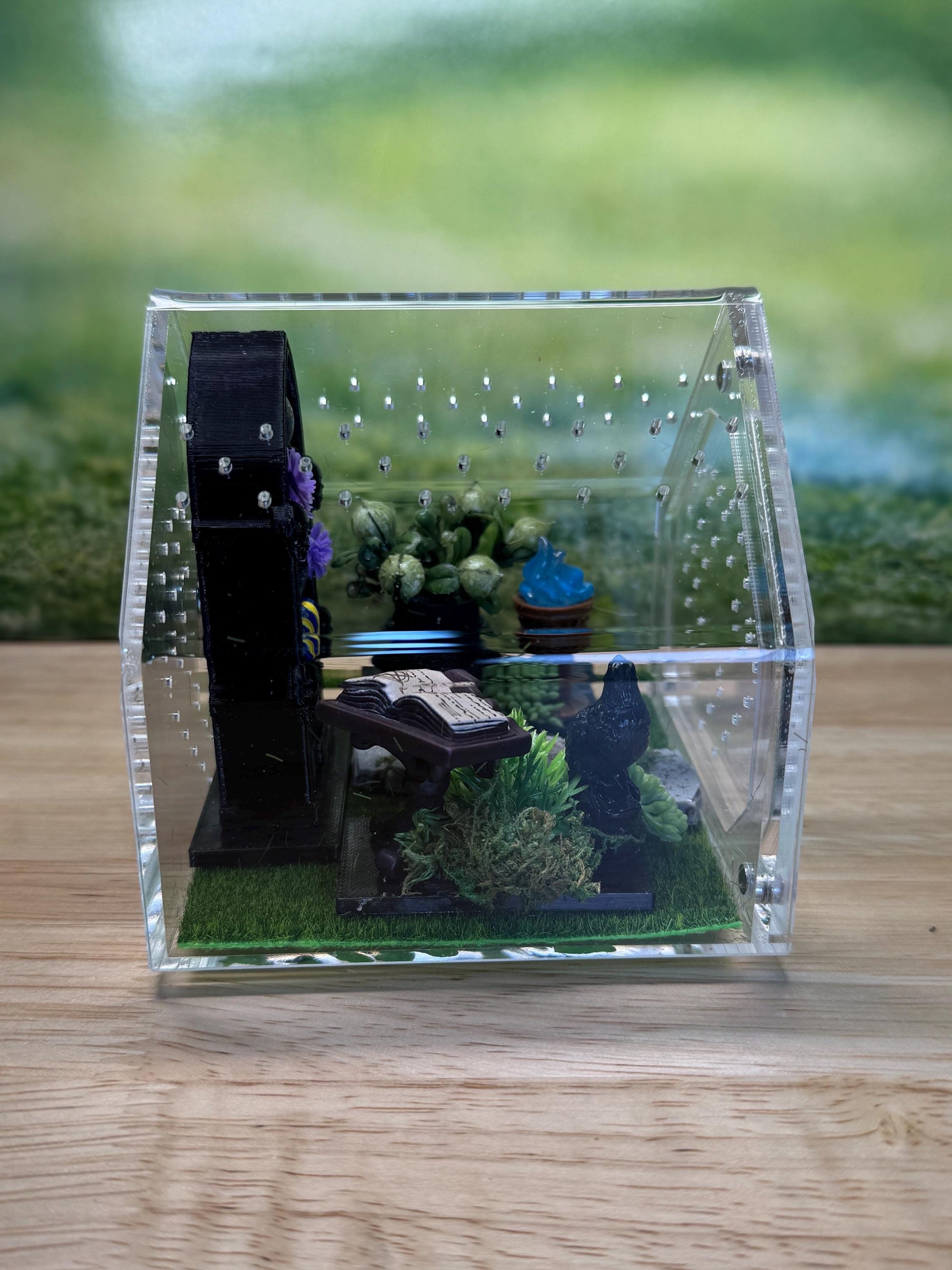 Decorated Acrylic Jumping Spider Enclosure, Front Opening Habitat 3.75x3.75x3.75