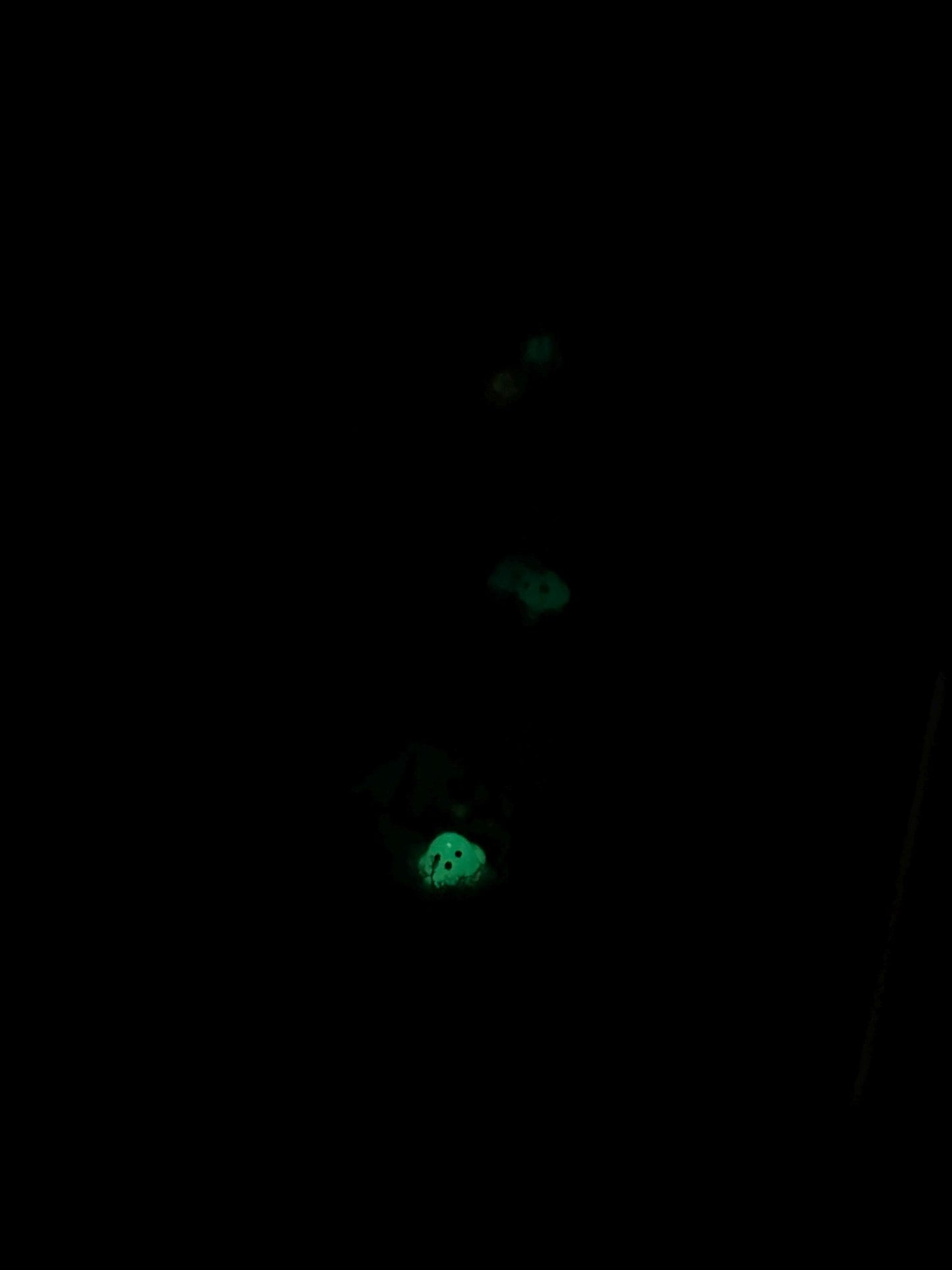 Jumping Spider Accessory. Fairy Treehouse Playground LED light