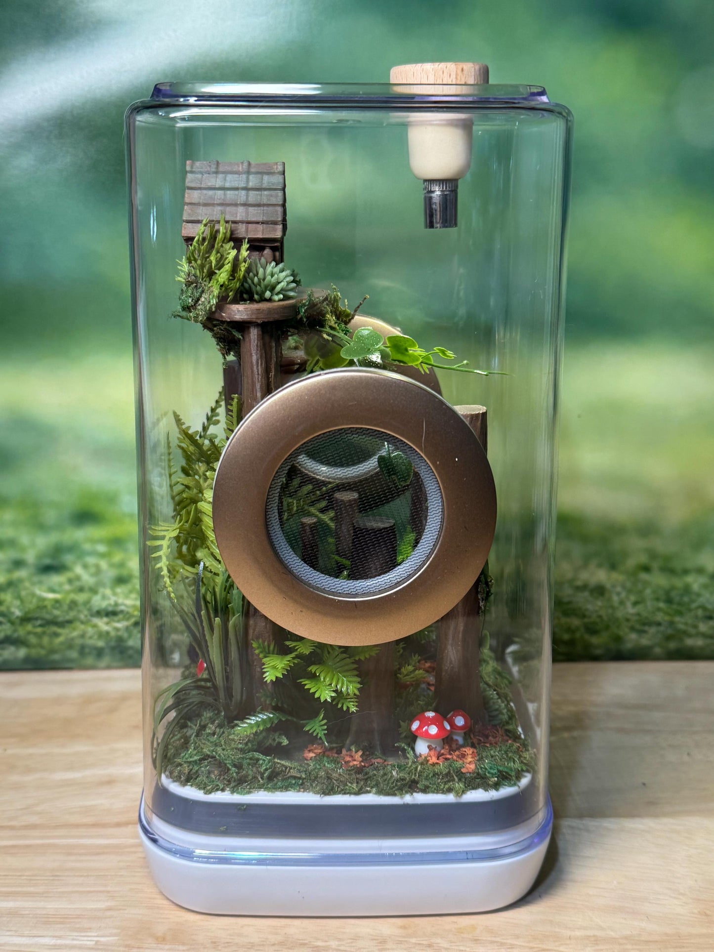 Decorated Jumping Spider Enclosure, 5x5x9, , READY TO SHIP, extra large spider house