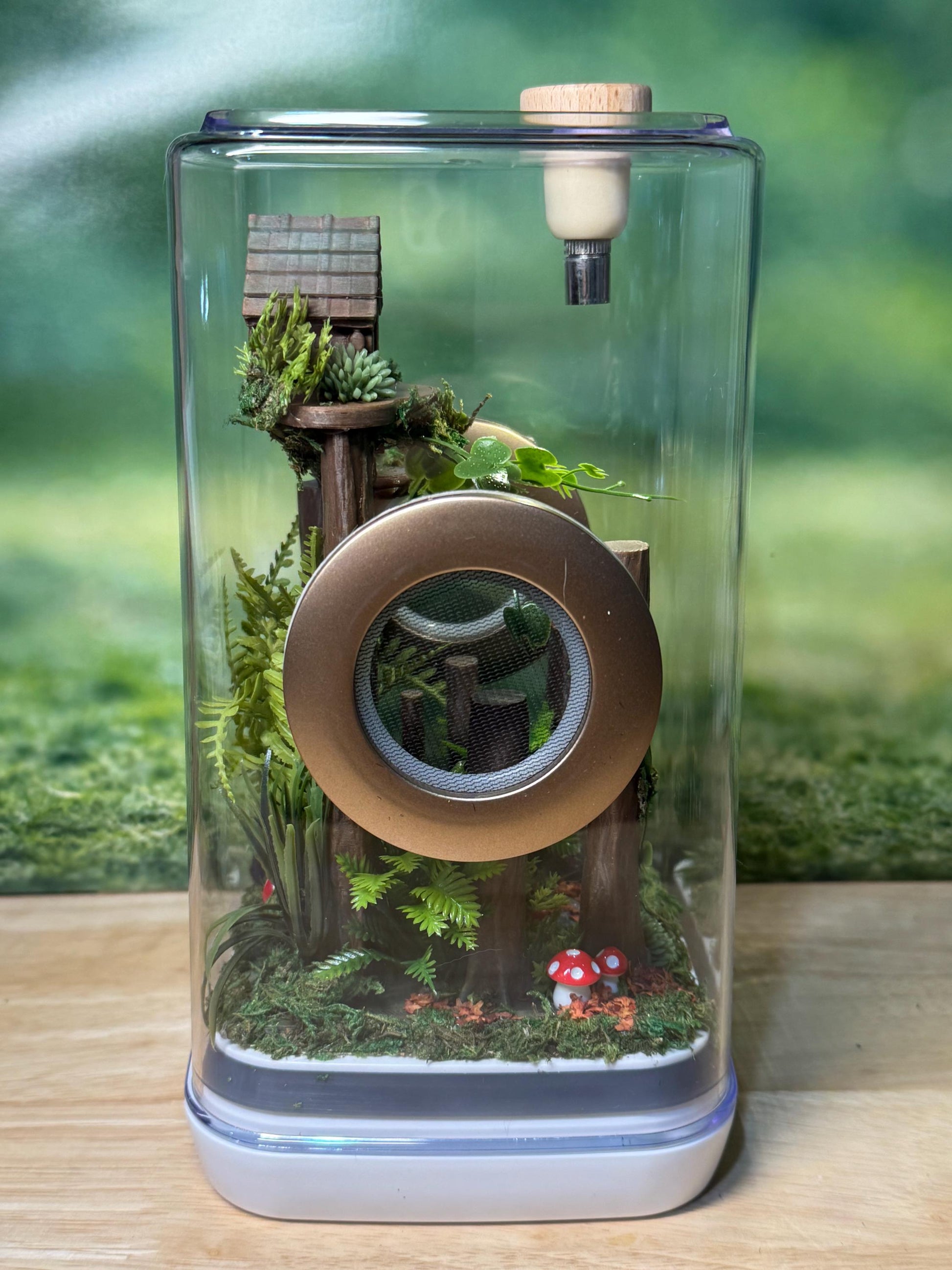 Decorated Jumping Spider Enclosure, 5x5x9, , READY TO SHIP, extra large spider house