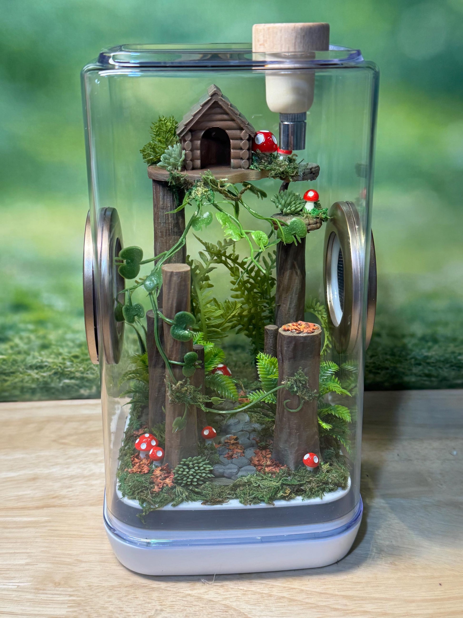 Decorated Jumping Spider Enclosure, 5x5x9, , READY TO SHIP, extra large spider house