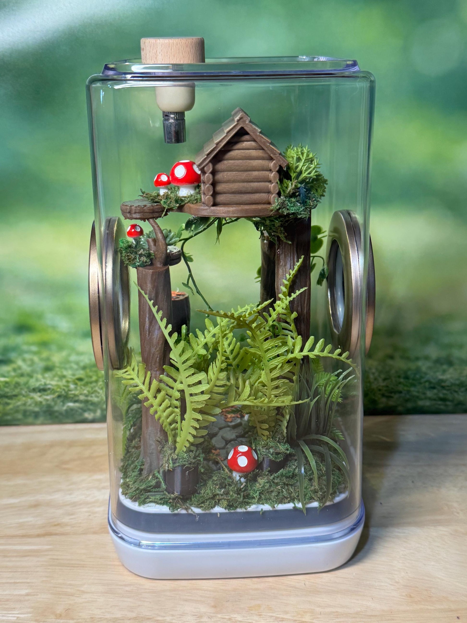 Decorated Jumping Spider Enclosure, 5x5x9, , READY TO SHIP, extra large spider house