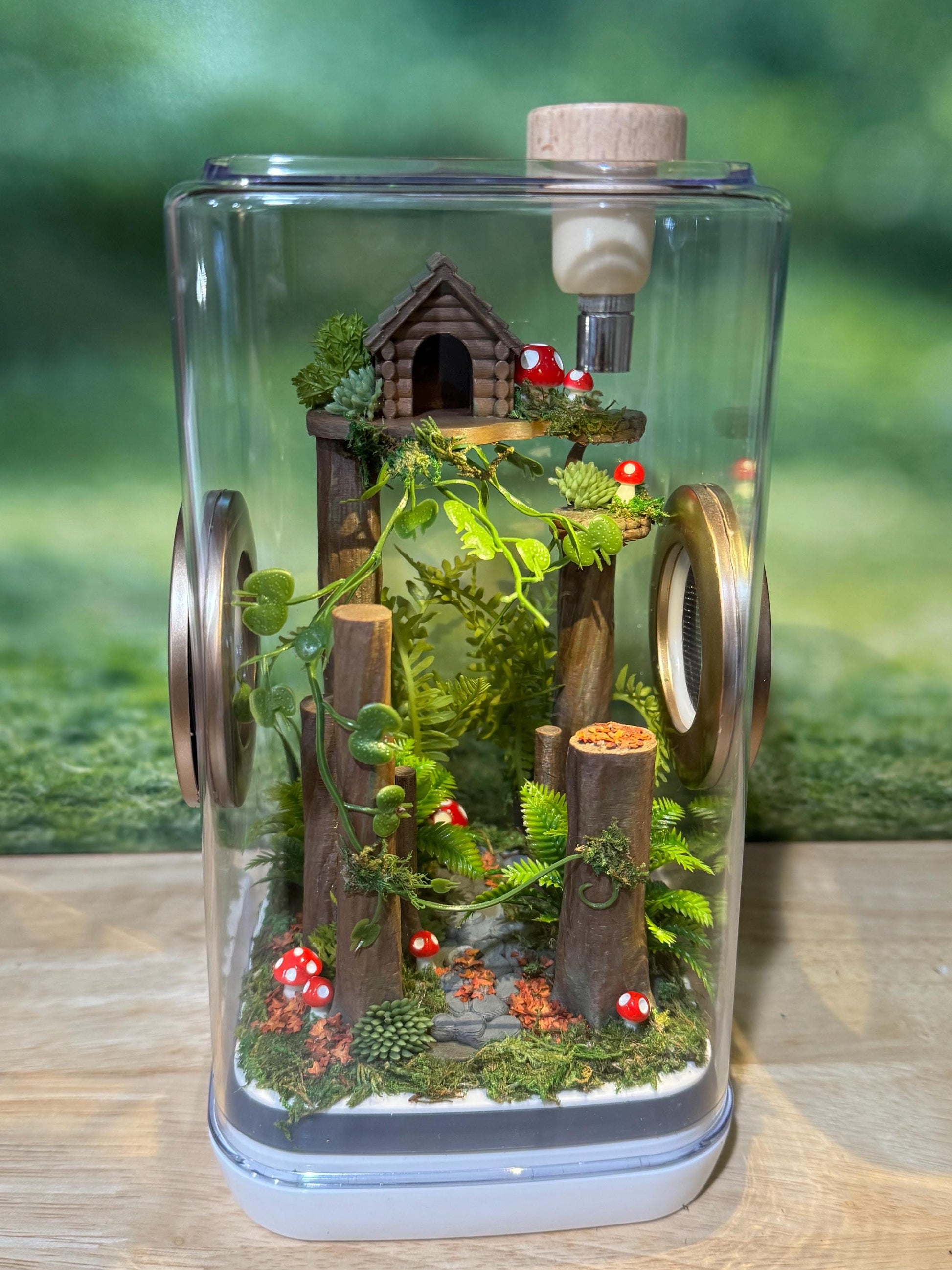 Decorated Jumping Spider Enclosure, 5x5x9, , READY TO SHIP, extra large spider house