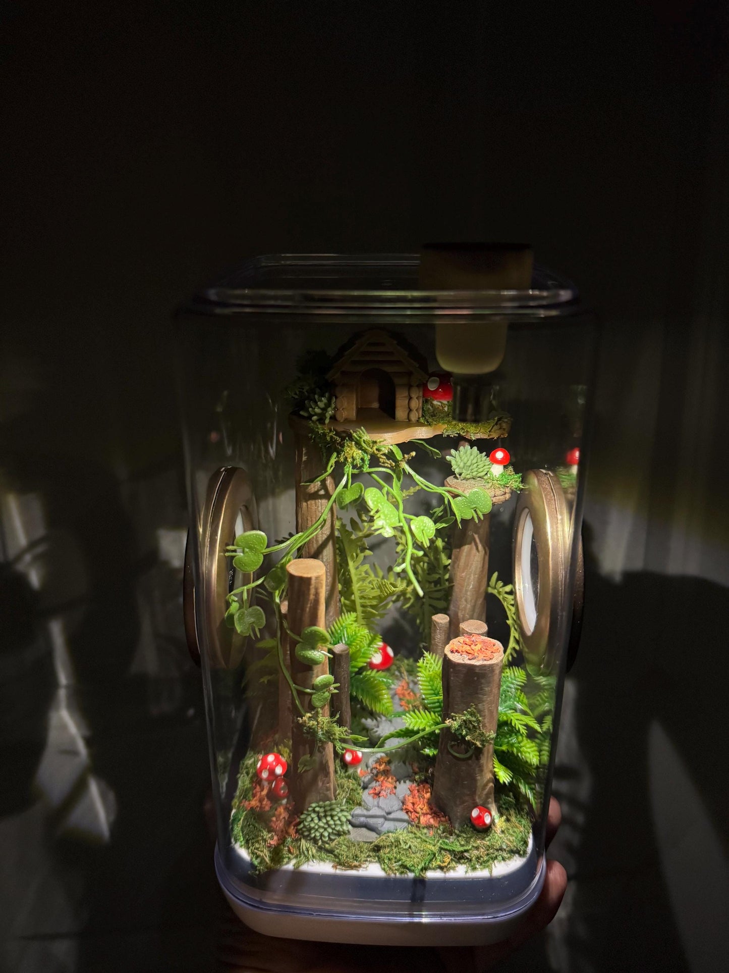 Decorated Jumping Spider Enclosure, 5x5x9, , READY TO SHIP, extra large spider house