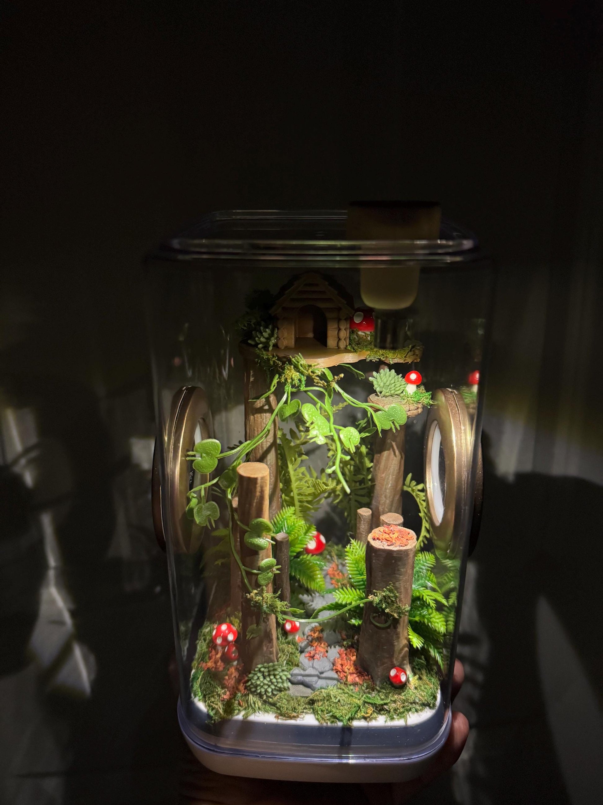Decorated Jumping Spider Enclosure, 5x5x9, , READY TO SHIP, extra large spider house