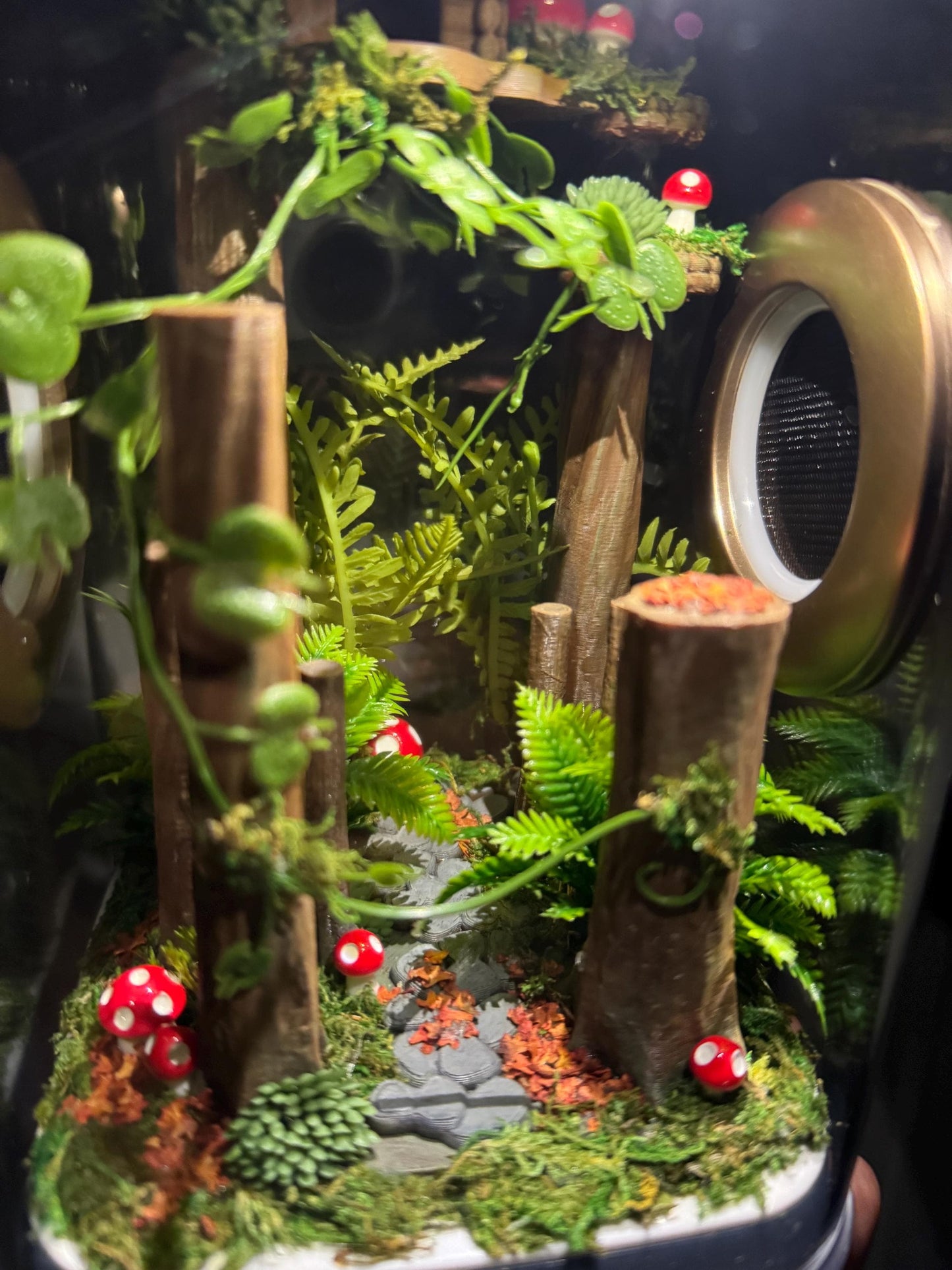 Decorated Jumping Spider Enclosure, 5x5x9, , READY TO SHIP, extra large spider house