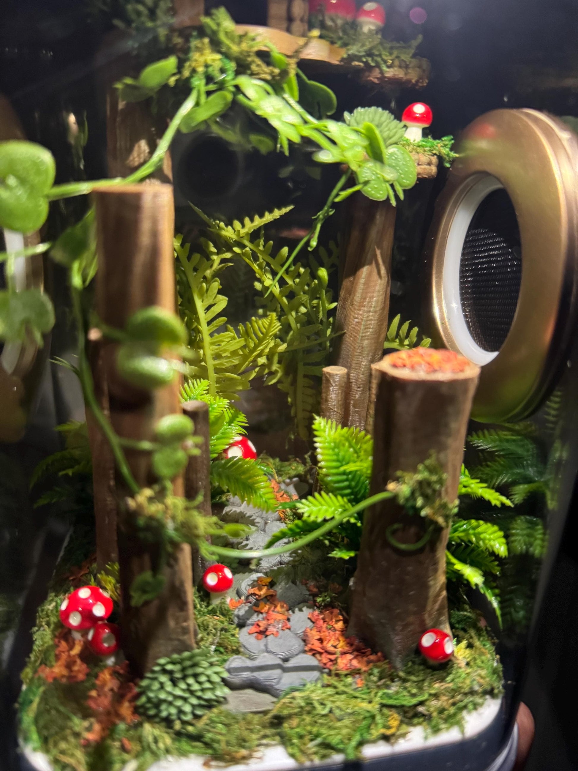 Decorated Jumping Spider Enclosure, 5x5x9, , READY TO SHIP, extra large spider house