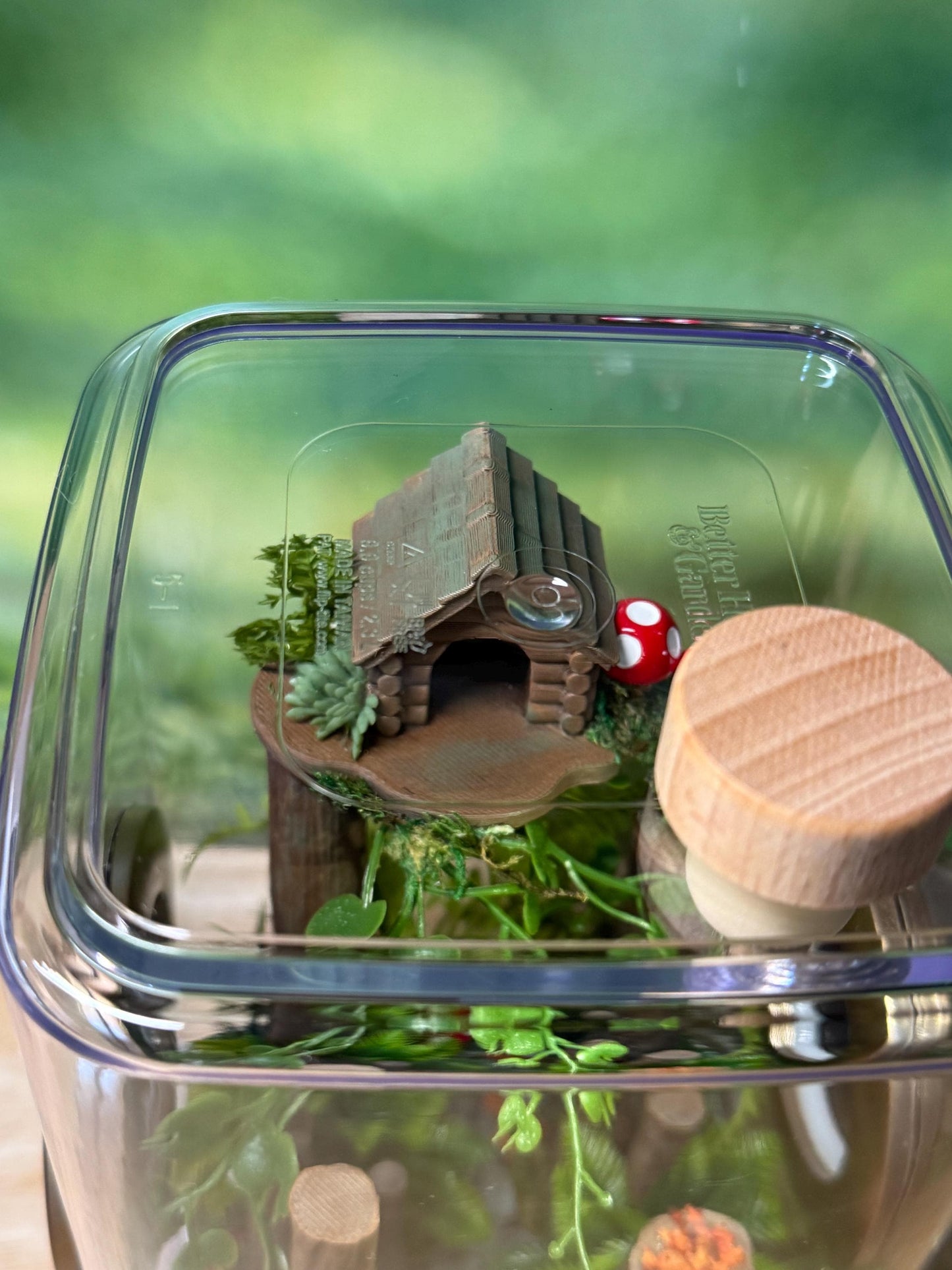 Decorated Jumping Spider Enclosure, 5x5x9, , READY TO SHIP, extra large spider house