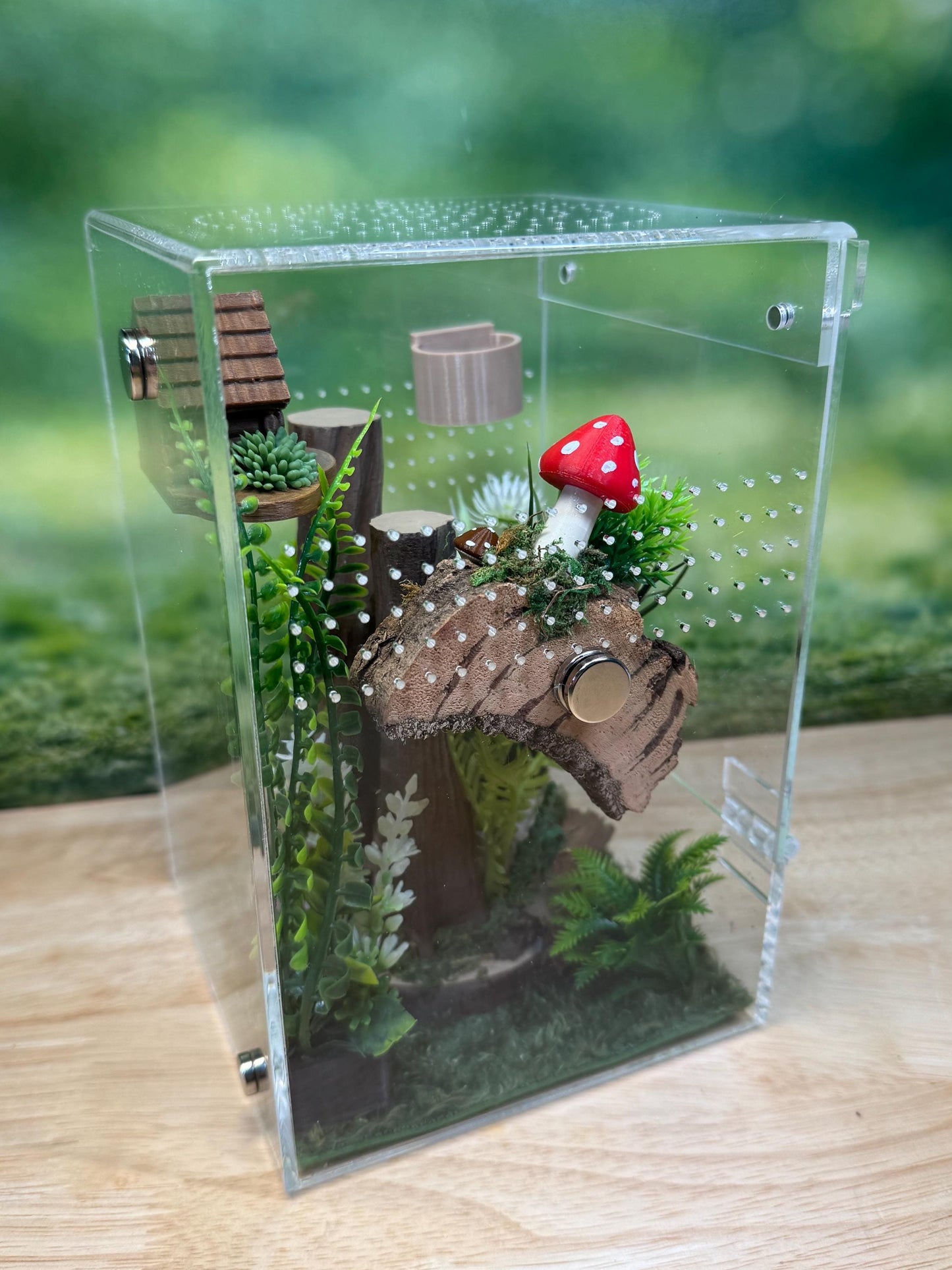 Acrylic Jumping Spider Enclosure, Front Opening Habitat (5x5x8)