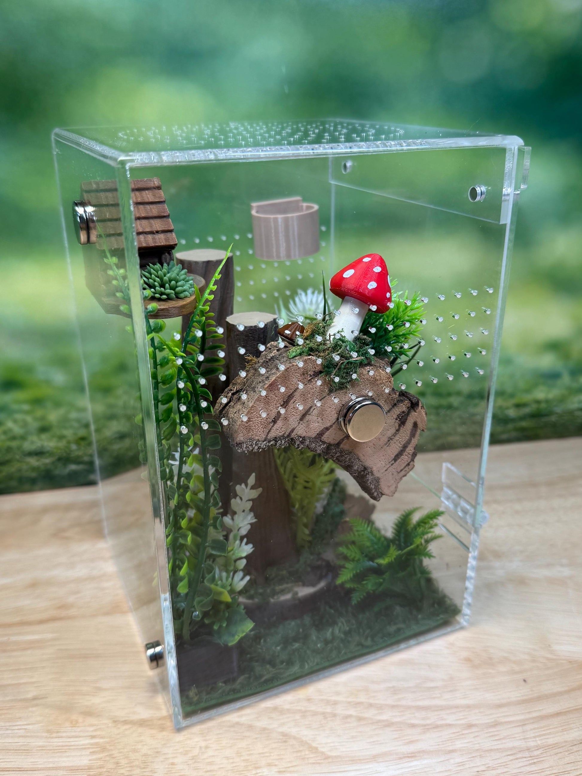 Acrylic Jumping Spider Enclosure, Front Opening Habitat (5x5x8)