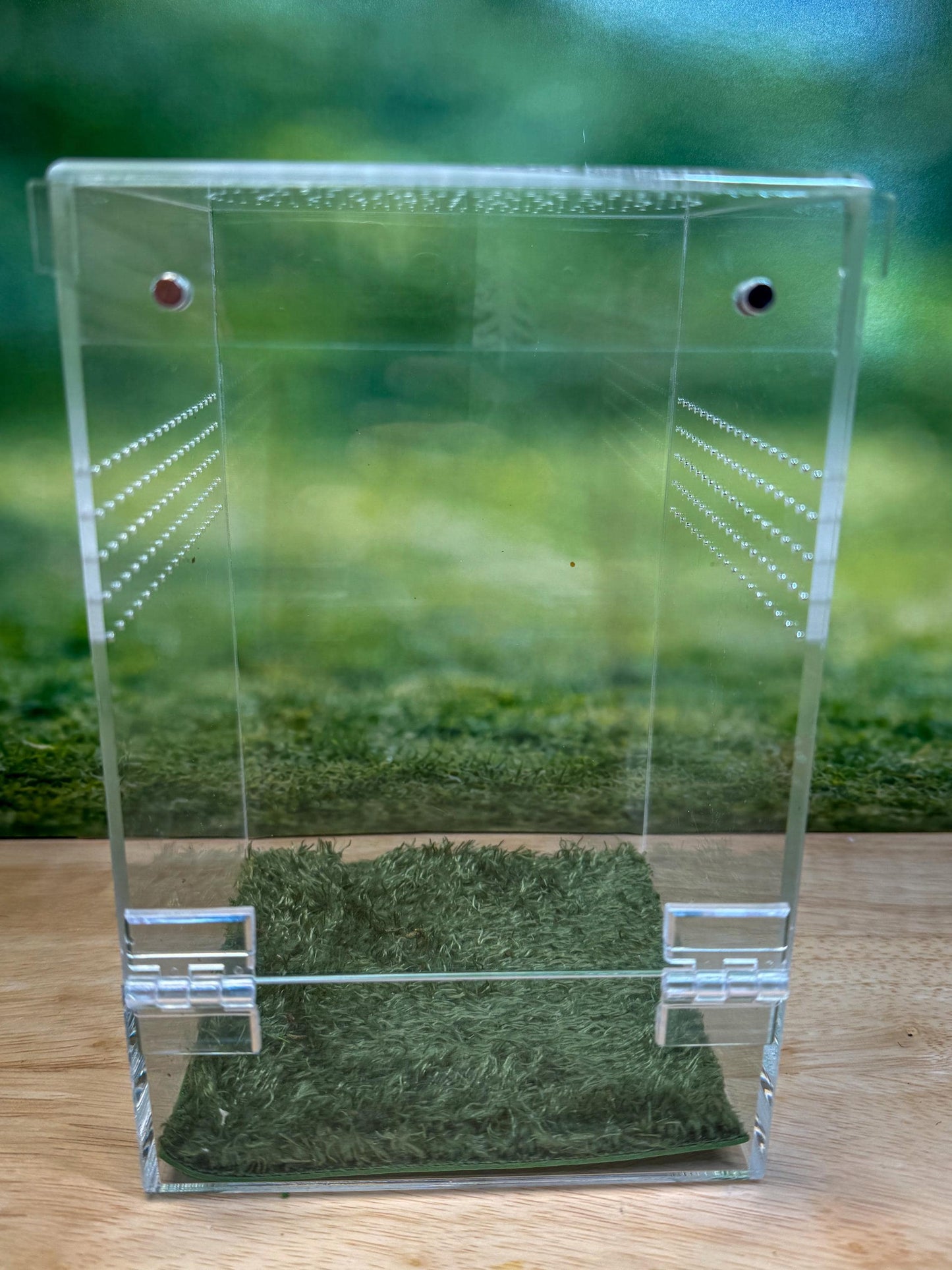 Acrylic Jumping Spider Enclosure, Front Opening Habitat (5x5x8)