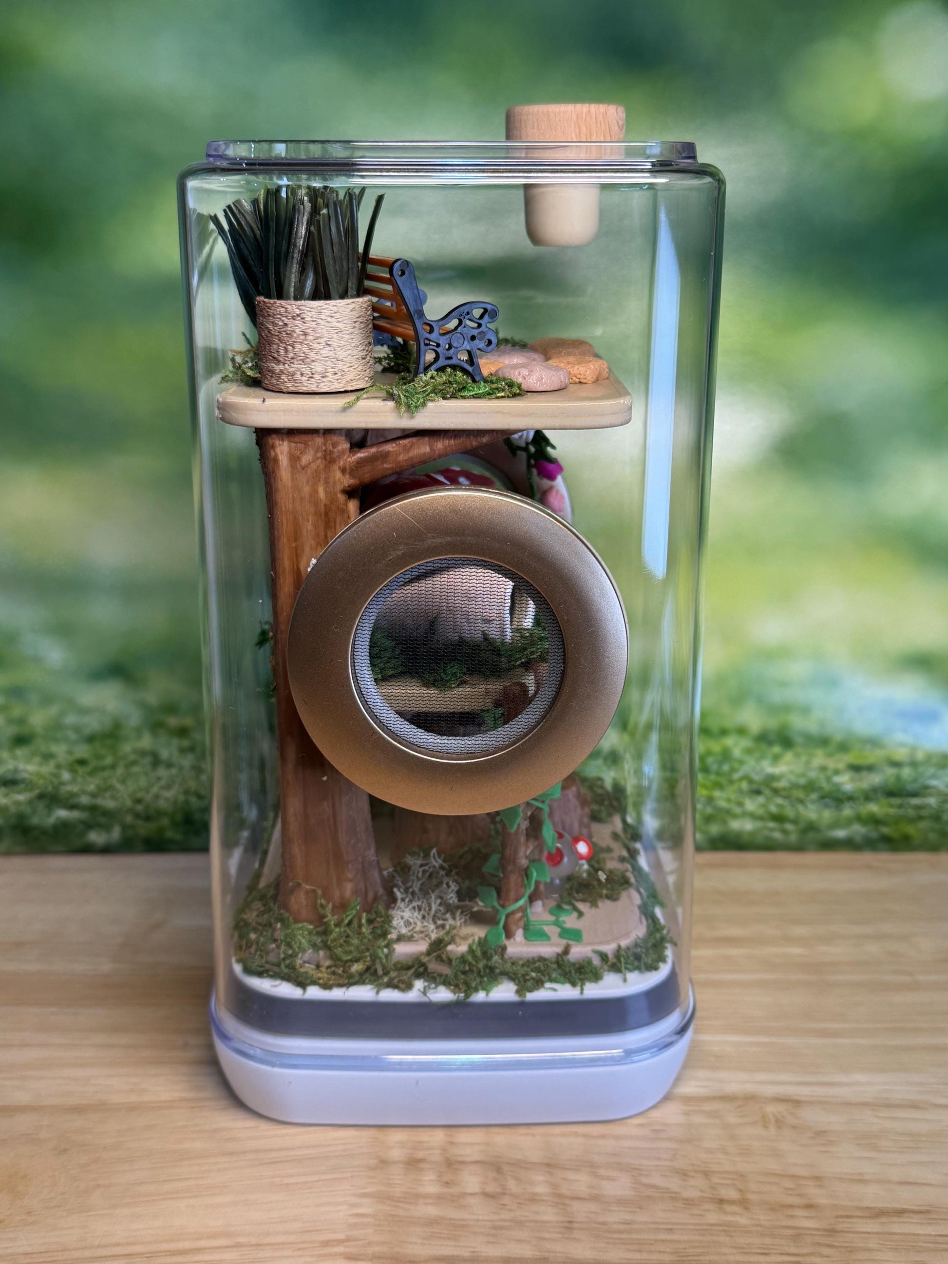 Decorated Jumping Spider Enclosure, 5x5x9, , READY TO SHIP, extra large spider house