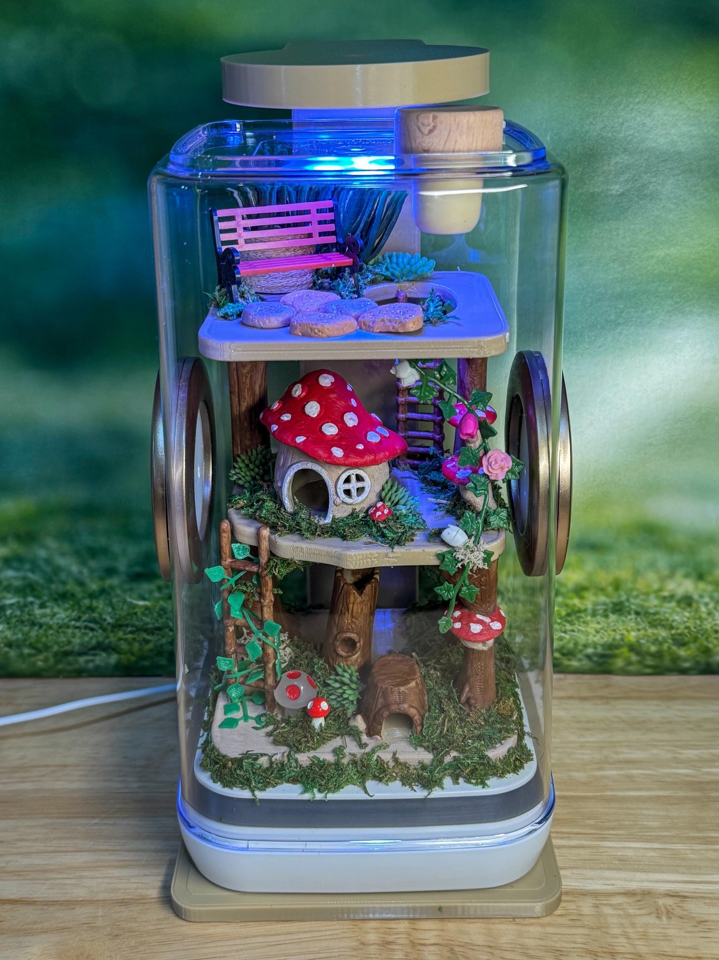 Decorated Jumping Spider Enclosure, 5x5x9, , READY TO SHIP, extra large spider house