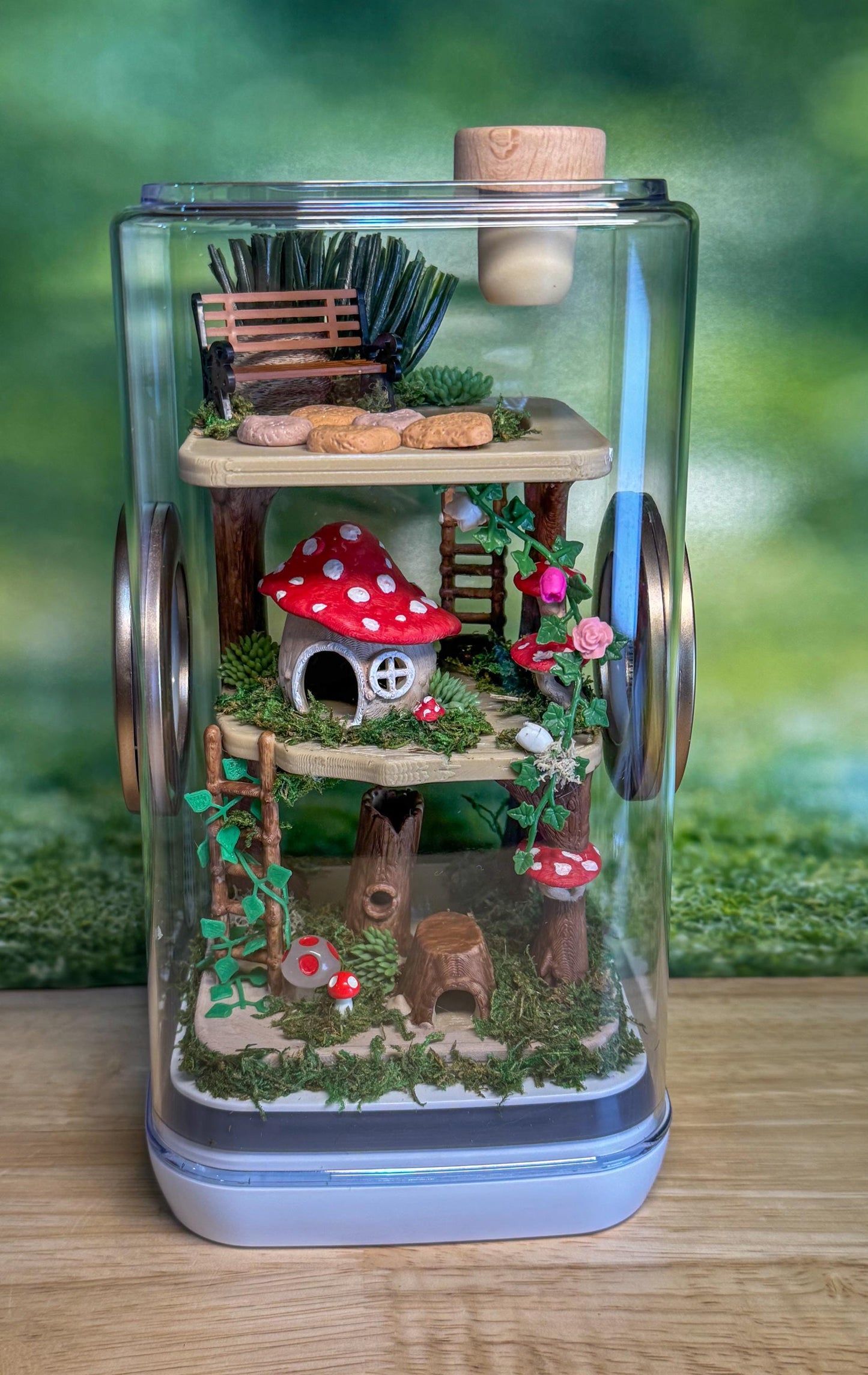 Decorated Jumping Spider Enclosure, 5x5x9, , READY TO SHIP, extra large spider house
