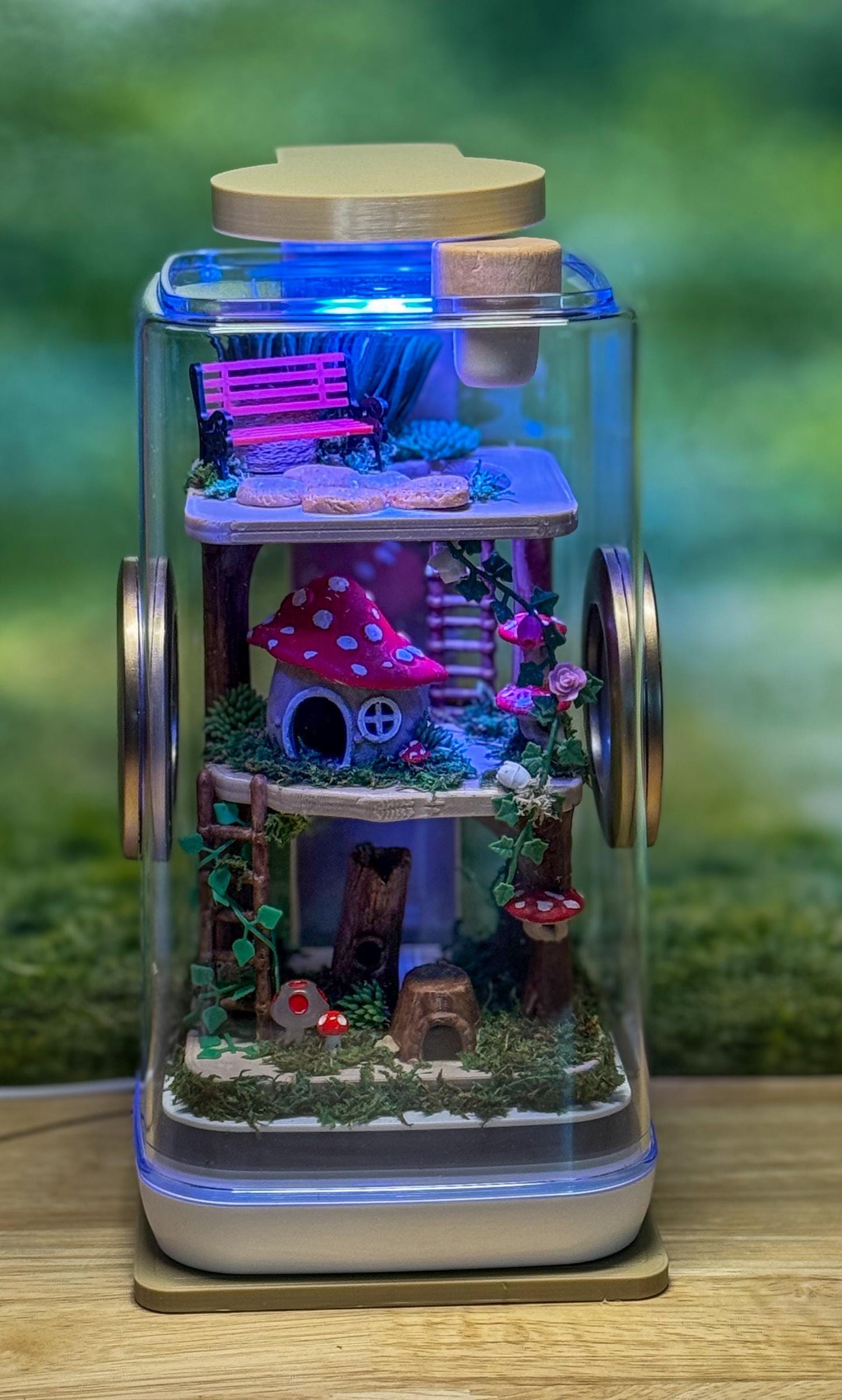 Decorated Jumping Spider Enclosure, 5x5x9, , READY TO SHIP, extra large spider house
