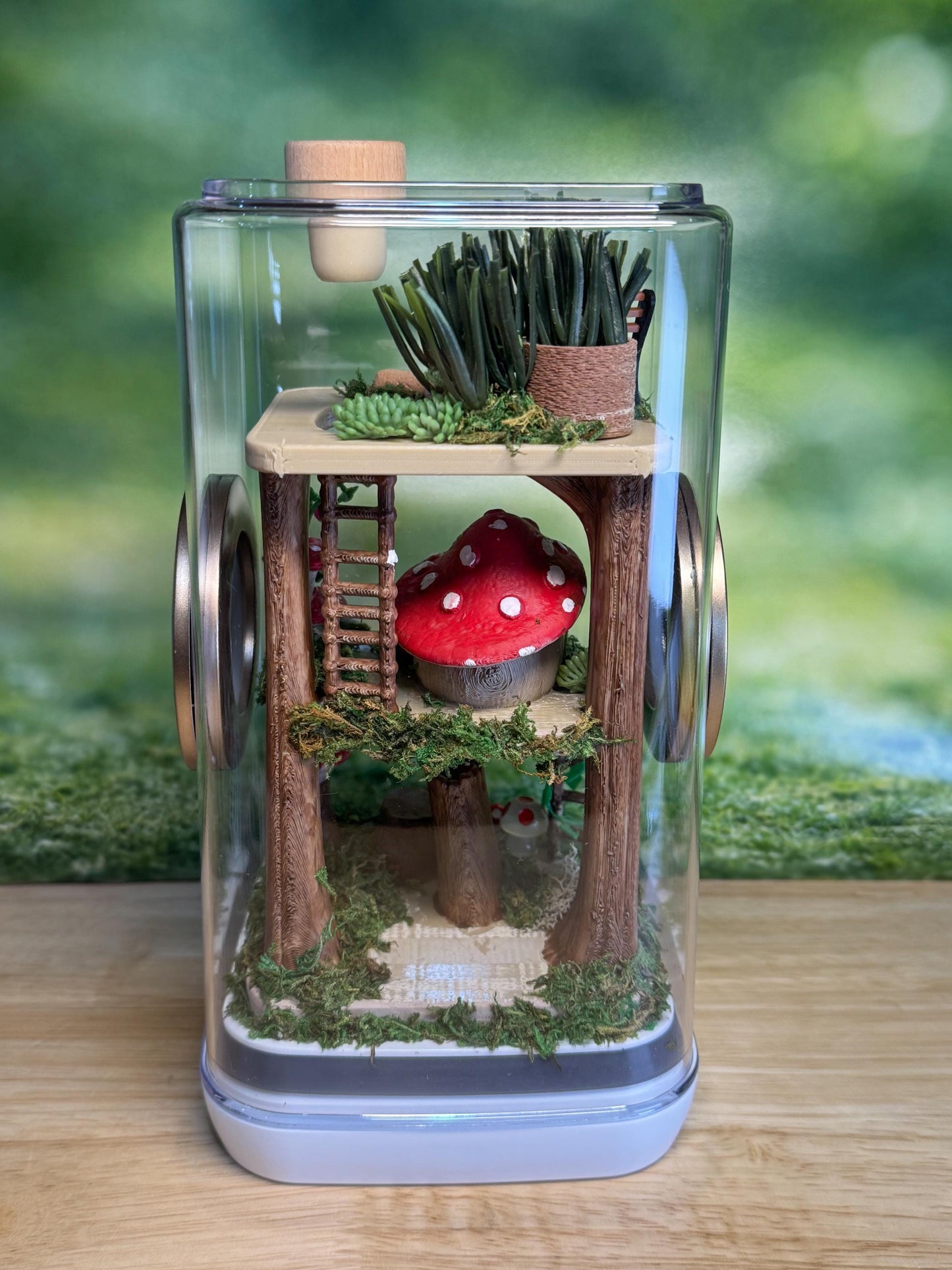 Decorated Jumping Spider Enclosure, 5x5x9, , READY TO SHIP, extra large spider house