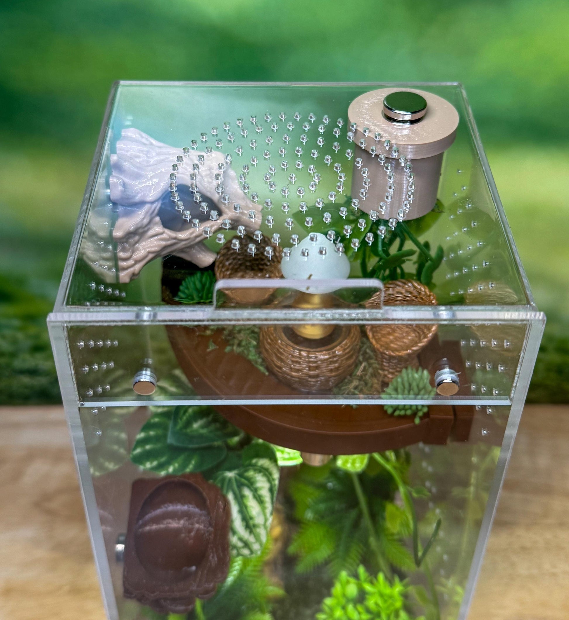 Front Opening Jumping Spider Enclosure 4x4x8, Acrylic Habitat Tank