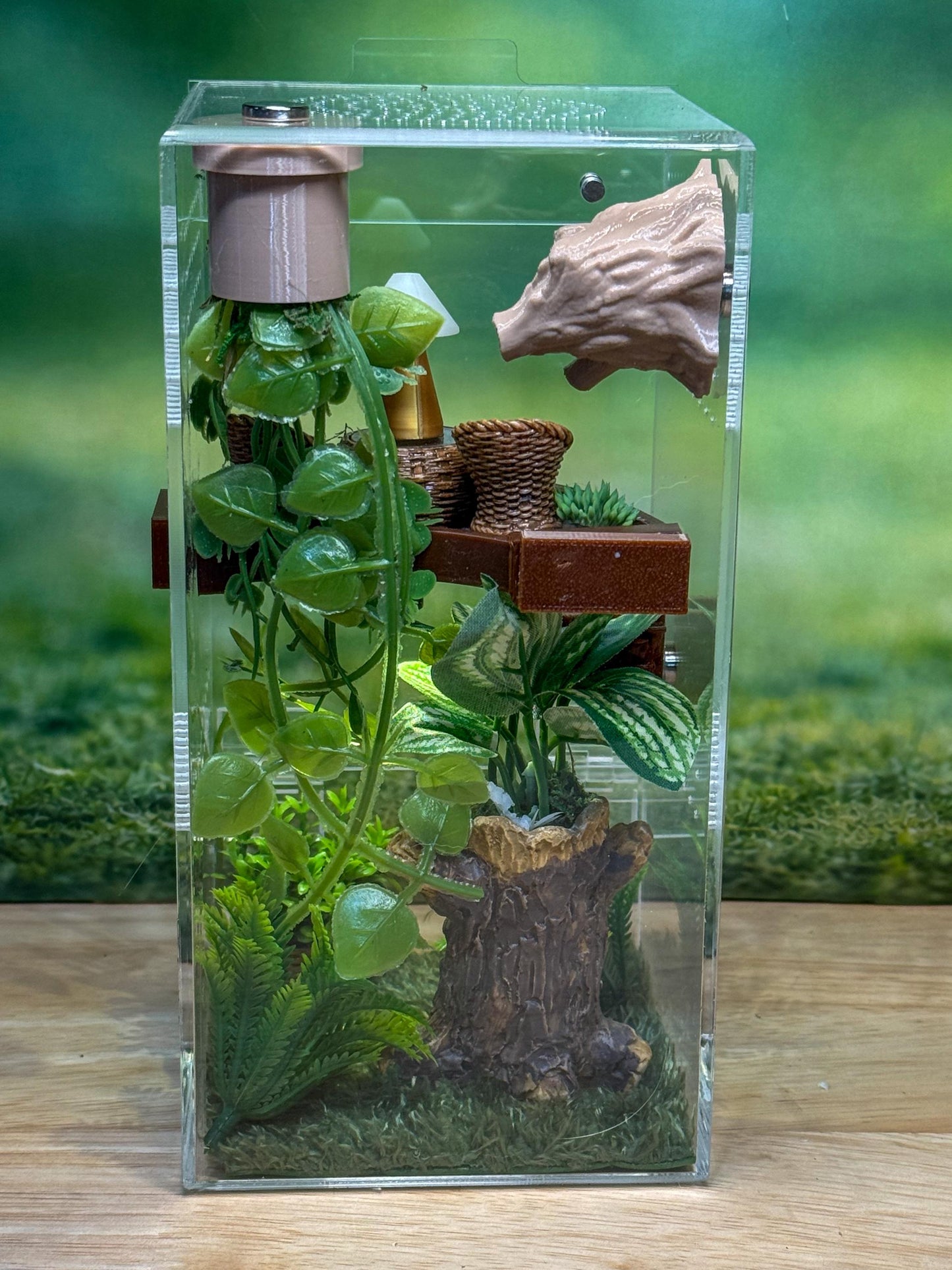 Front Opening Jumping Spider Enclosure 4x4x8, Acrylic Habitat Tank