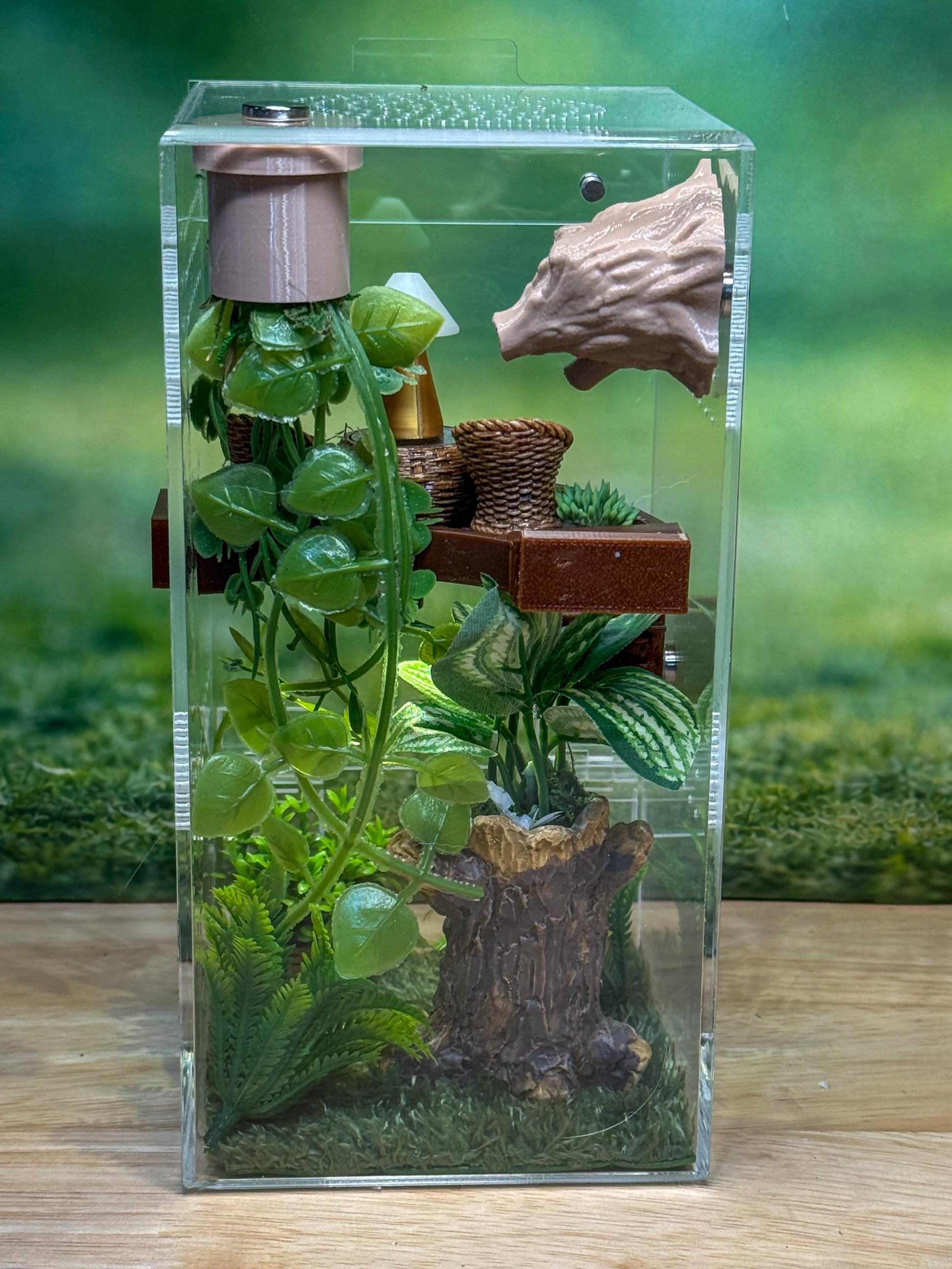 Front Opening Jumping Spider Enclosure 4x4x8, Acrylic Habitat Tank
