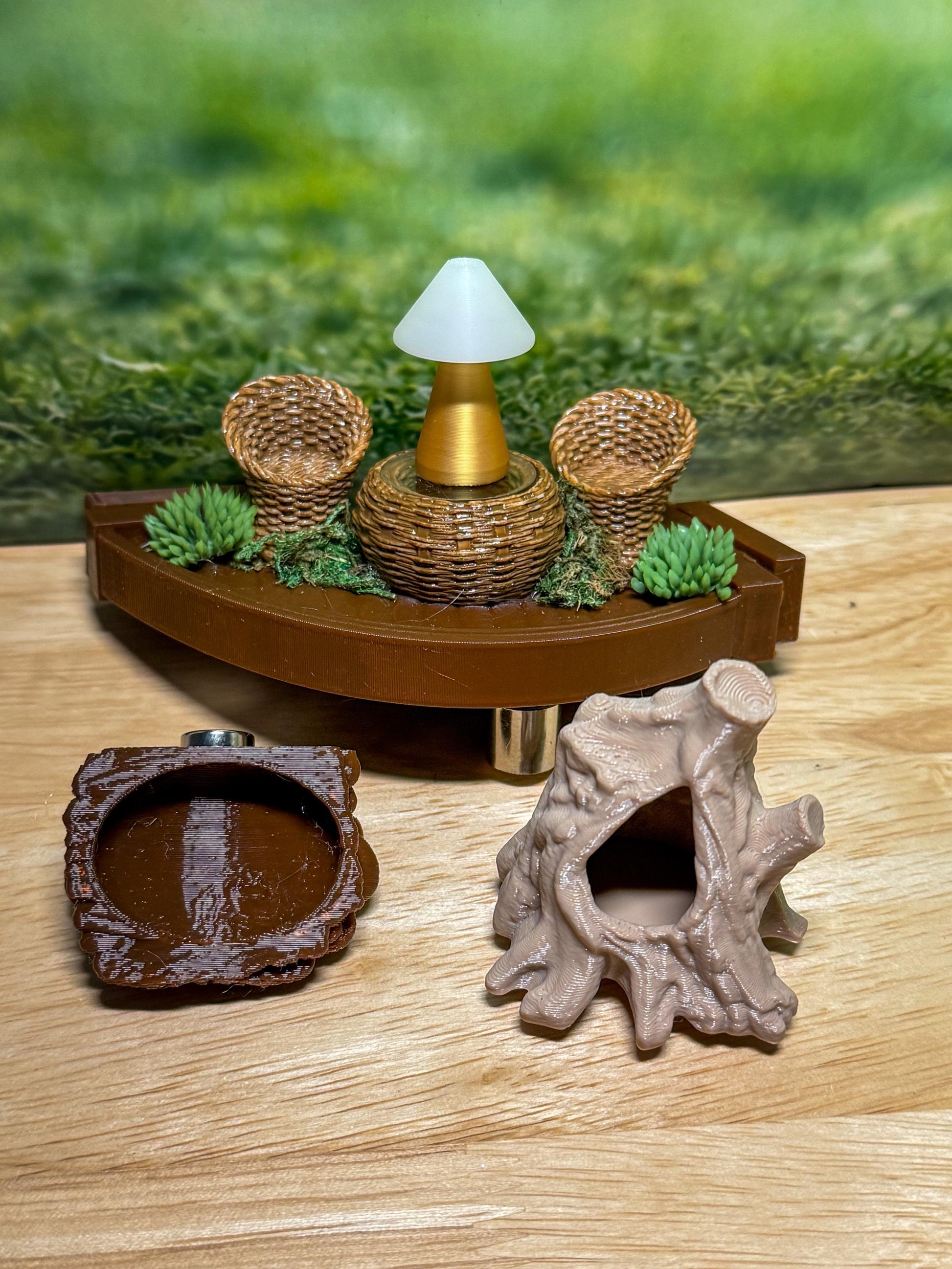 Front Opening Jumping Spider Enclosure 4x4x8, Acrylic Habitat Tank