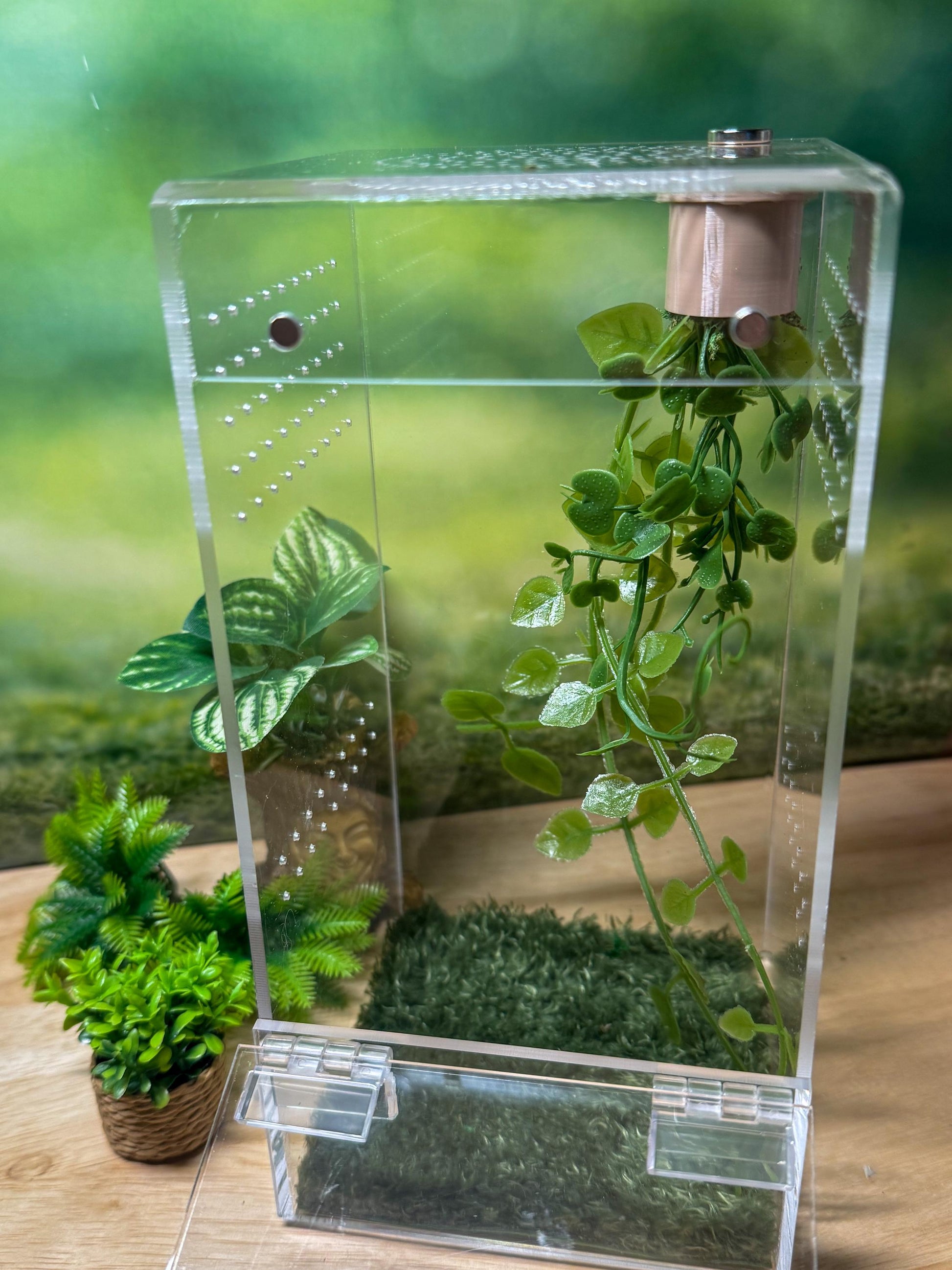 Front Opening Jumping Spider Enclosure 4x4x8, Acrylic Habitat Tank