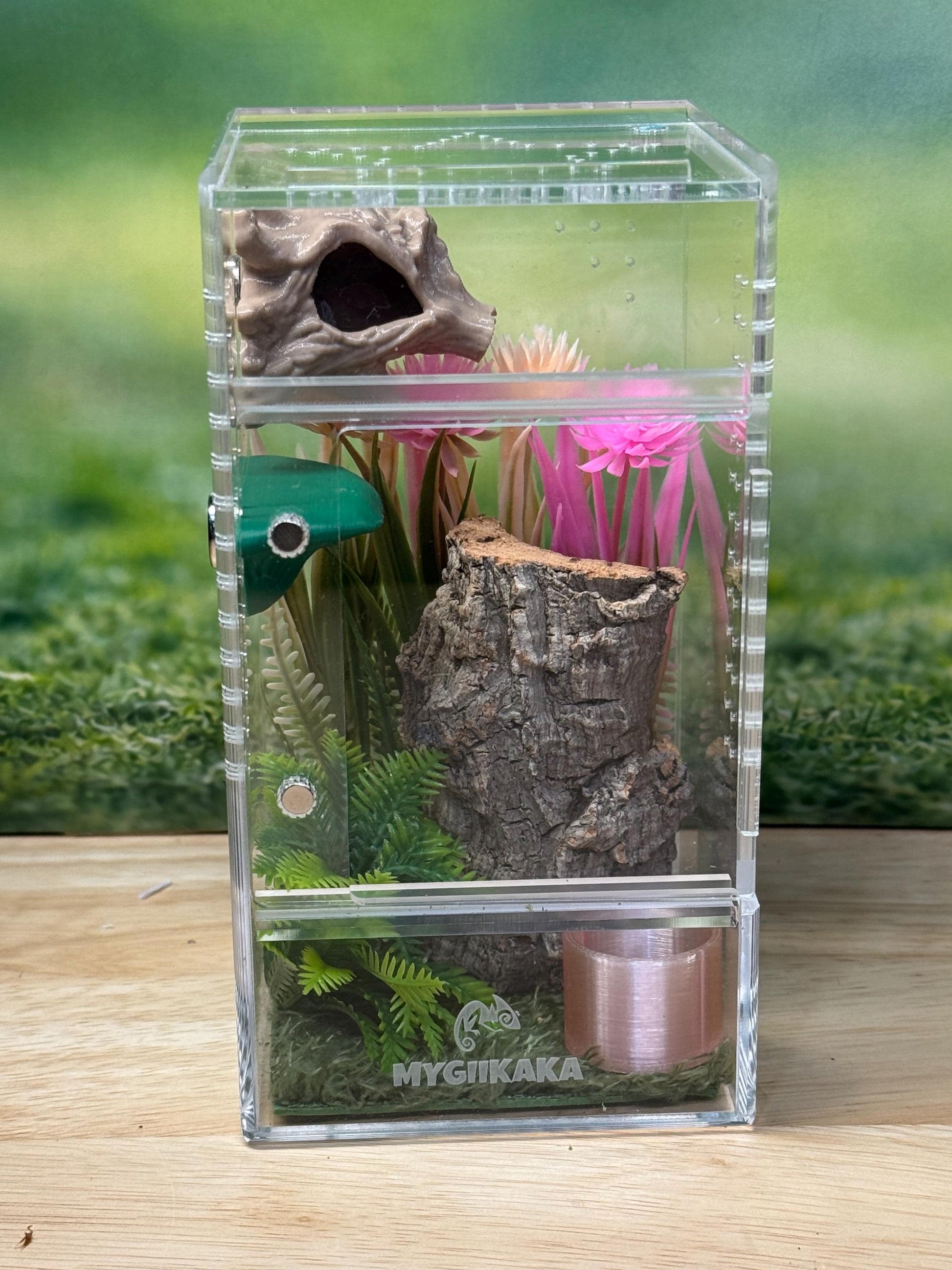 Acrylic Jumping Spider Enclosure, Front Opening Habitat (3x3x6)
