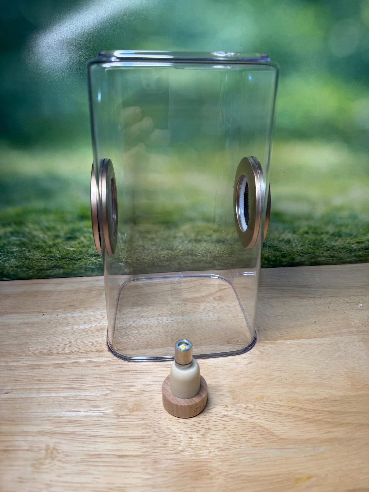 Decorated Jumping Spider Enclosure, 5x5x9, , READY TO SHIP, extra large spider house