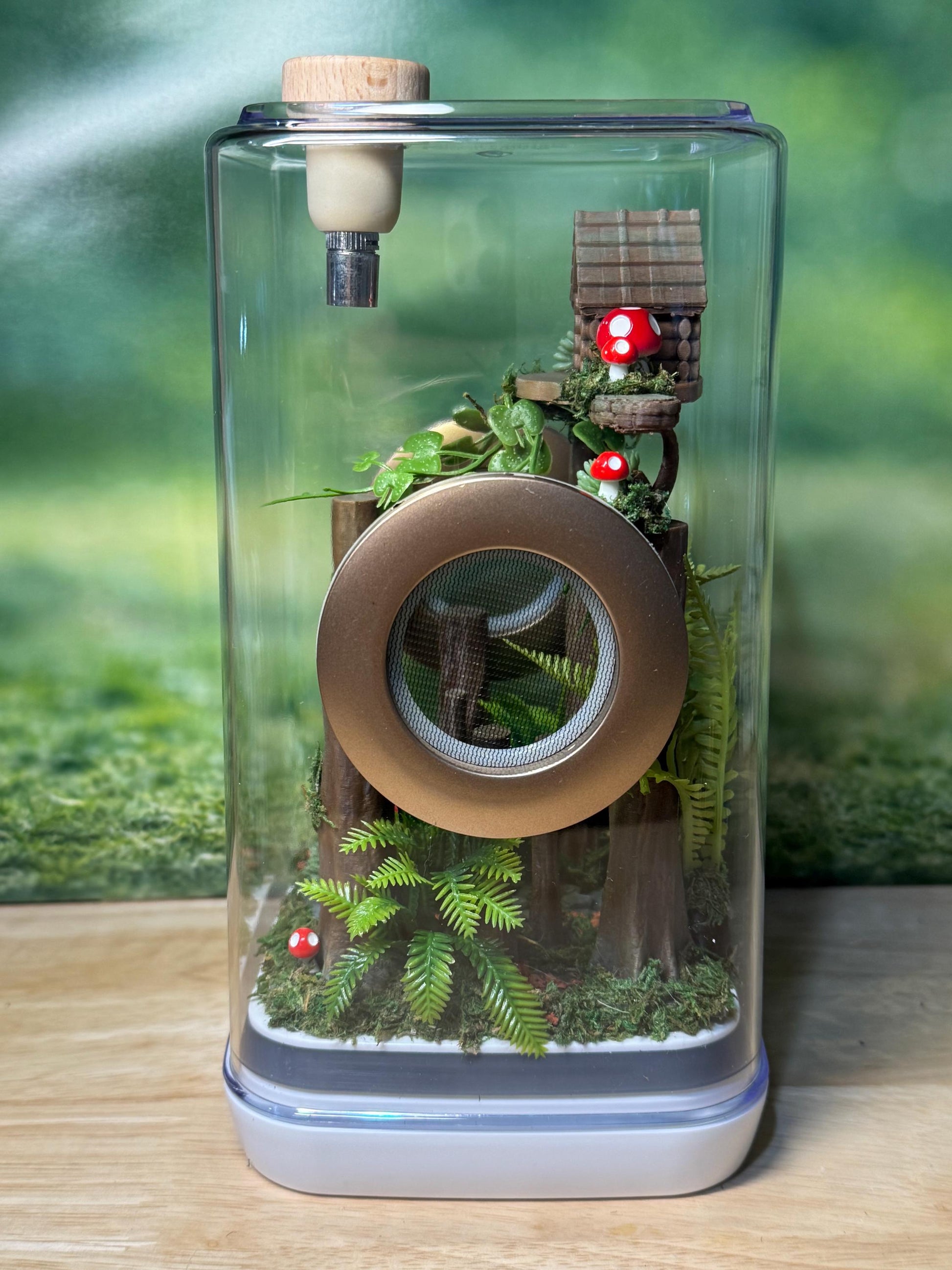 Decorated Jumping Spider Enclosure, 5x5x9, , READY TO SHIP, extra large spider house
