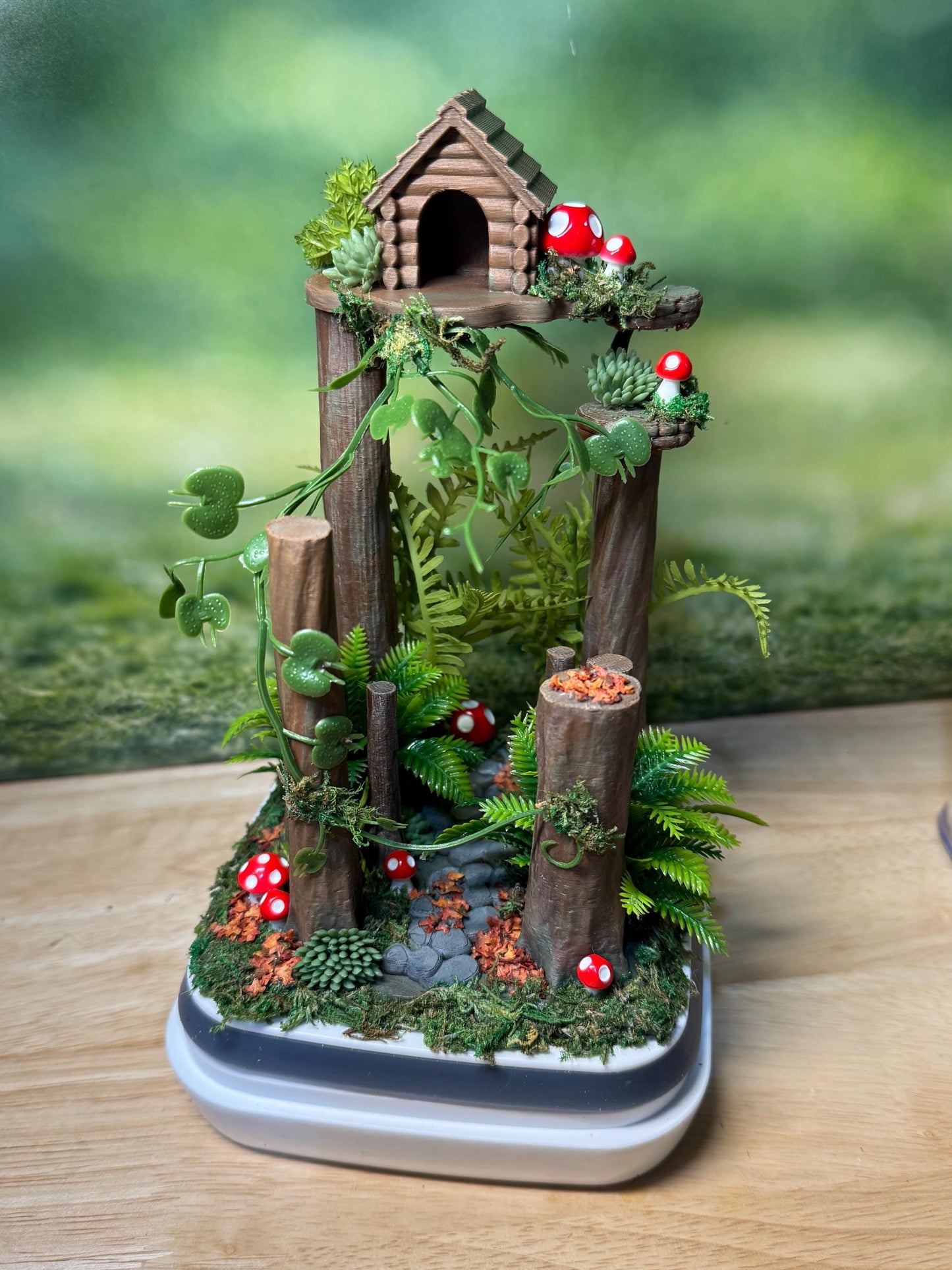 Decorated Jumping Spider Enclosure, 5x5x9, , READY TO SHIP, extra large spider house