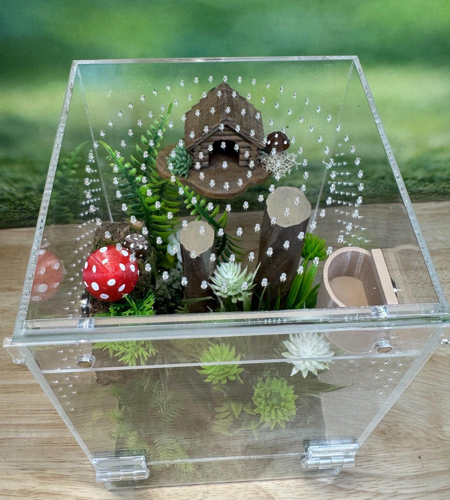 Acrylic Jumping Spider Enclosure, Front Opening Habitat (5x5x8)