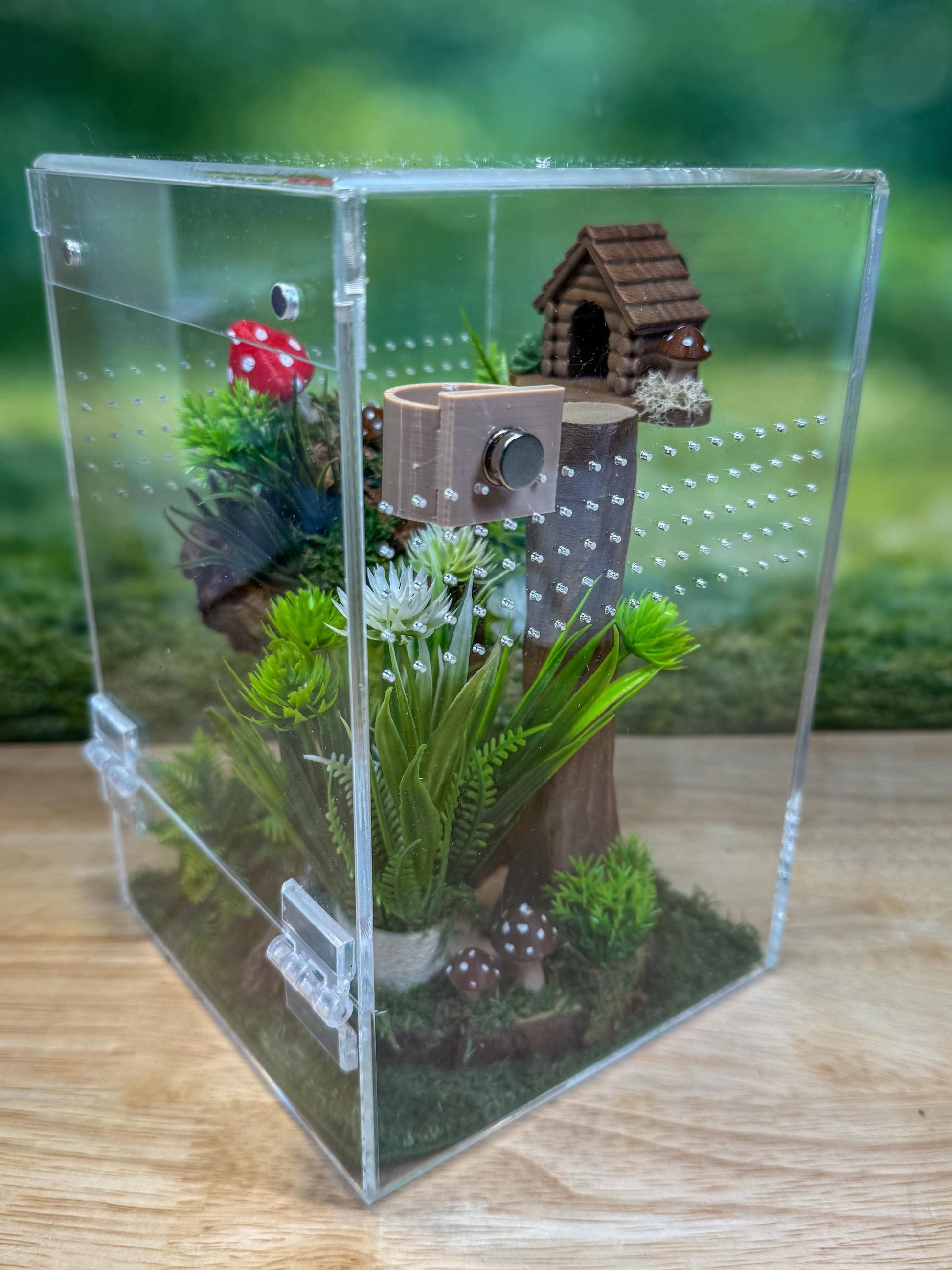 Acrylic Jumping Spider Enclosure, Front Opening Habitat (5x5x8)