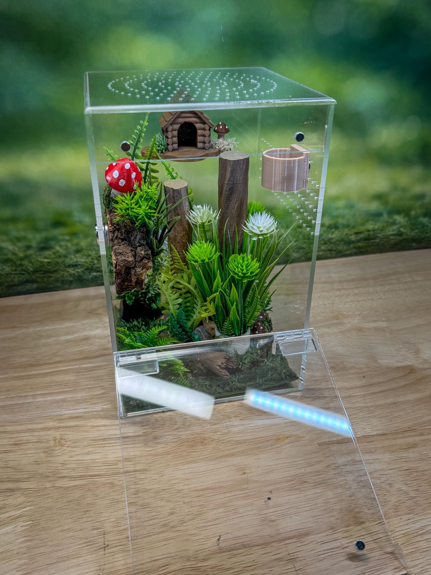Acrylic Jumping Spider Enclosure, Front Opening Habitat (5x5x8)