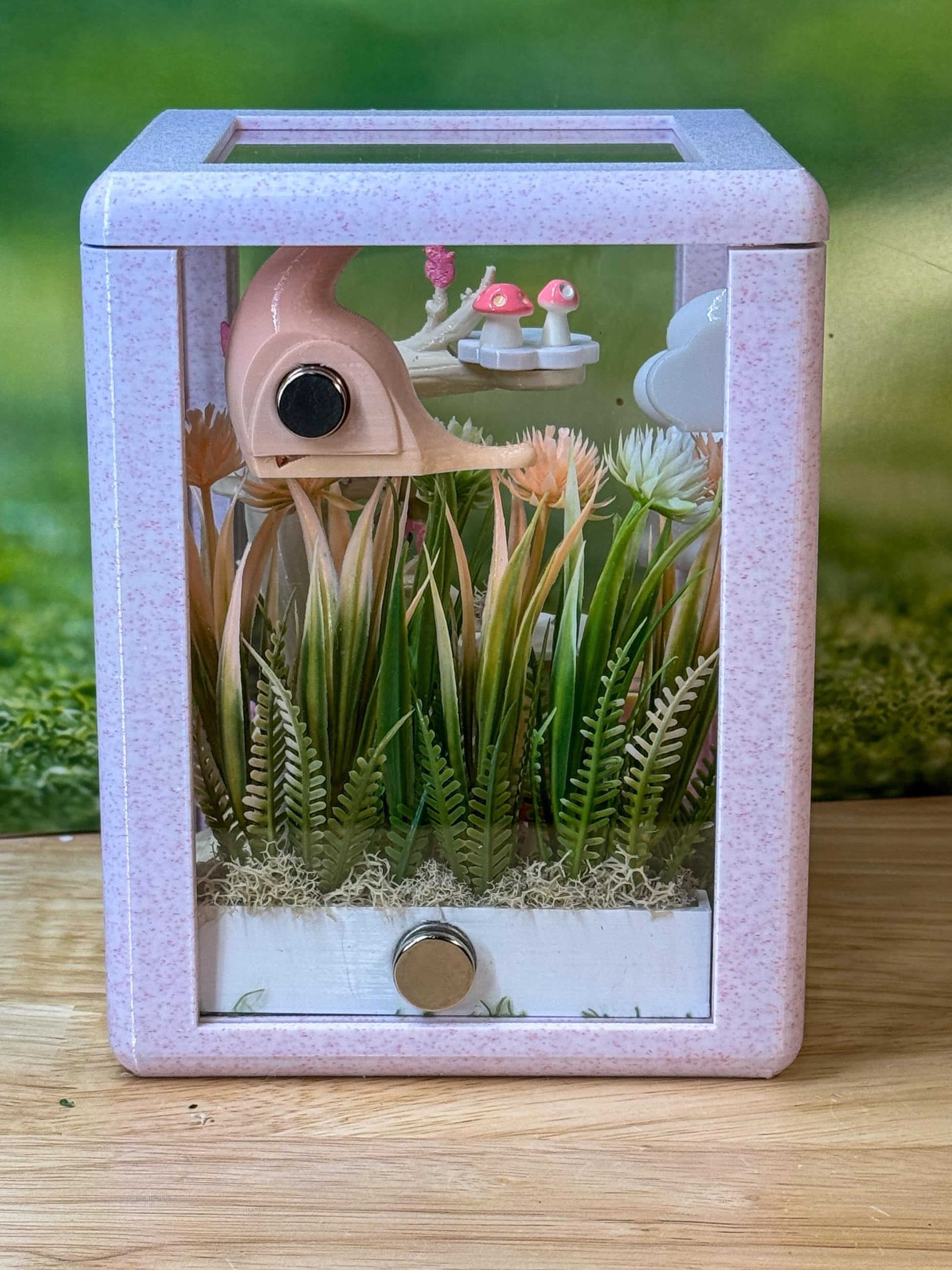 CUSTOM **Jumping Spider Enclosure, Front Opening Habitat (4.8x5x6.5) Pink Marble and Blue