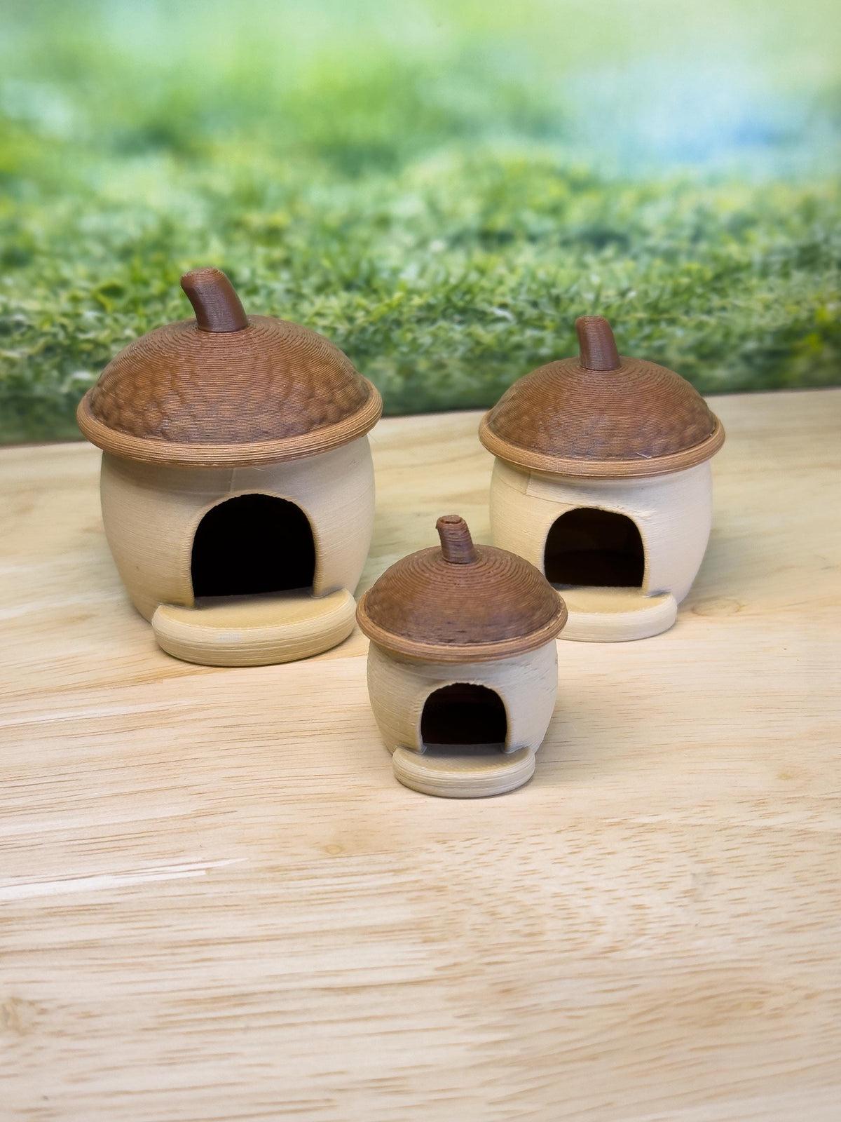 Jumping spider enclosure Acorn Hide