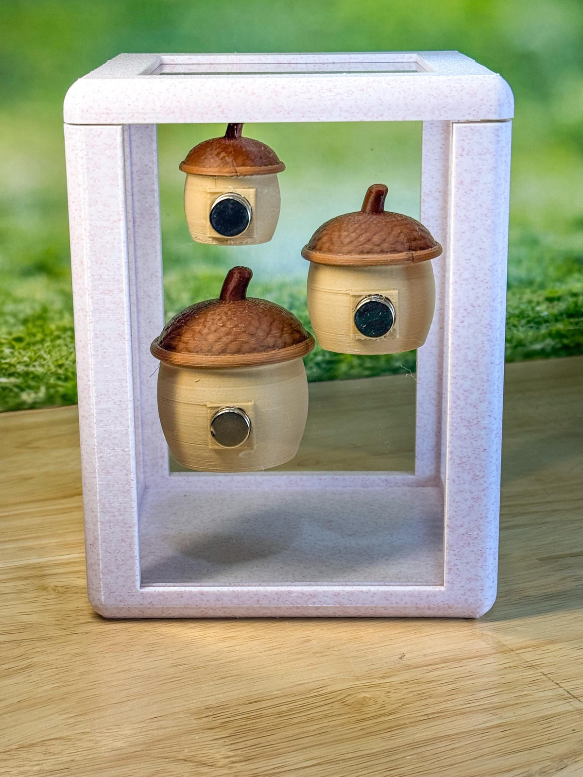 Jumping spider enclosure Acorn Hide
